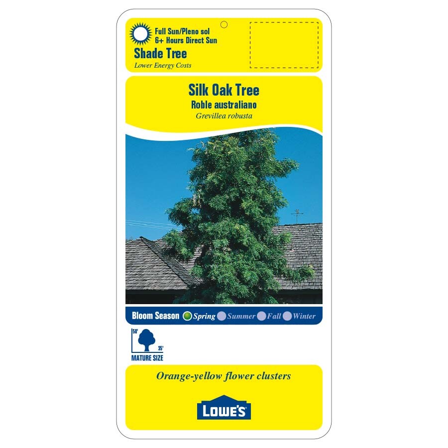  NURSERY trees - View #2