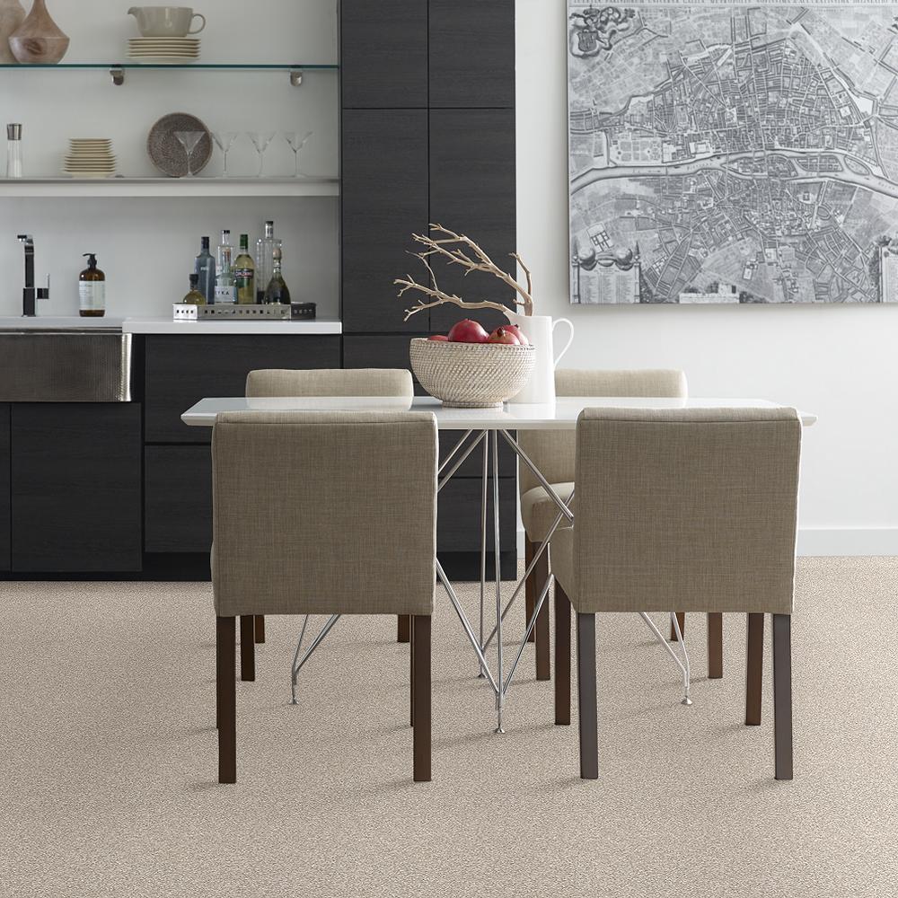 STAINMASTER B707400005 Carpet-Panel - View #3