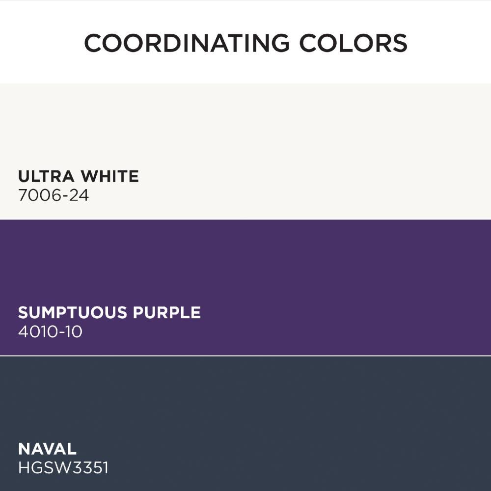 HGTV HOME by Sherwin-Williams HGSW1436-2557207 Int-Ext-Paint - View #5
