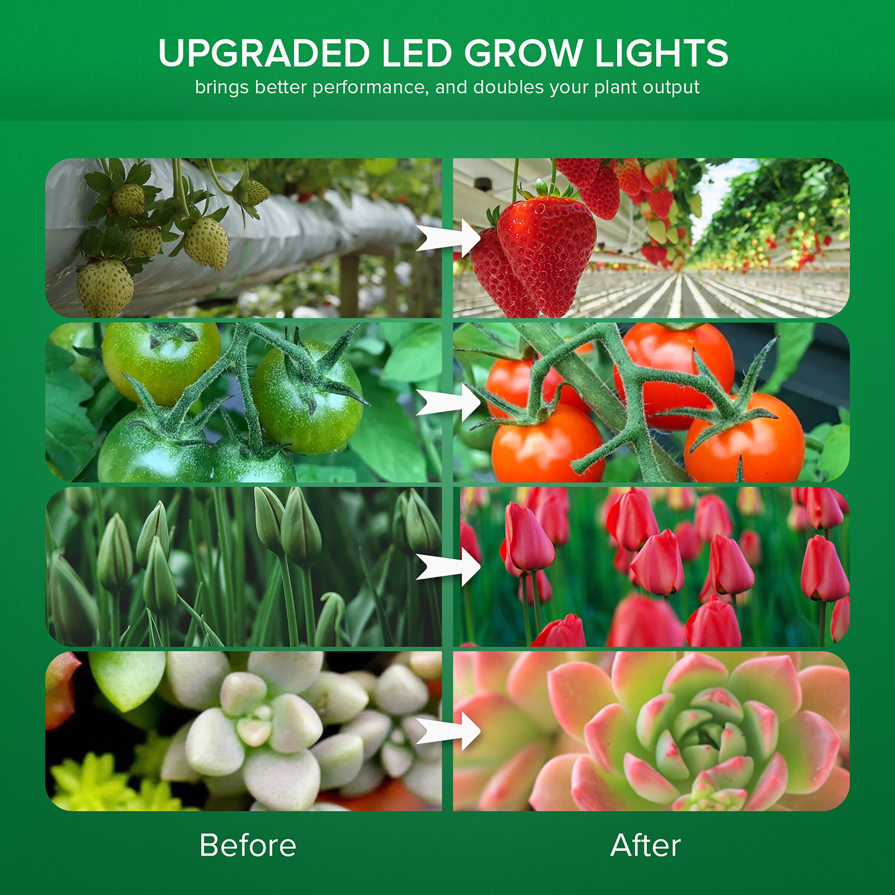 100W=1000W LED Grow Light Dimmable 0-100% Full Spectrum Plants Grow Lamp  SANSI