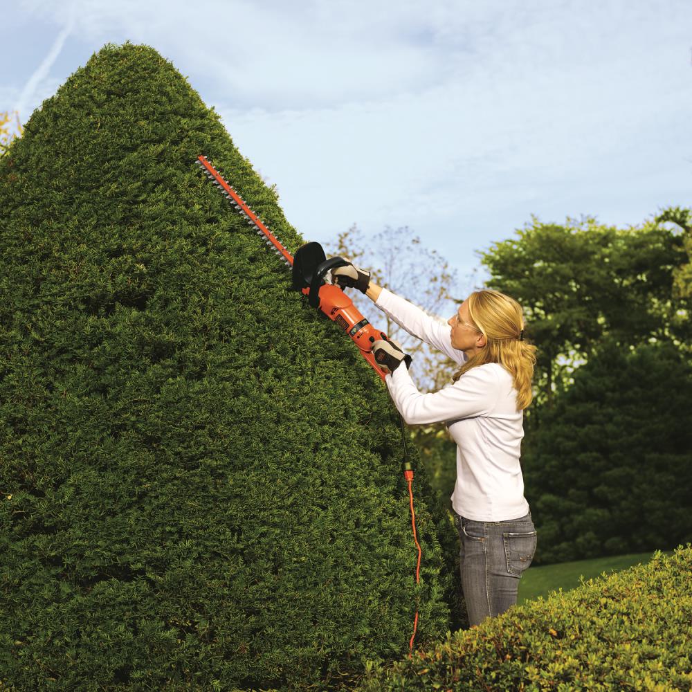 Black & Decker HH2455 Corded Hedge Trimmer Review 
