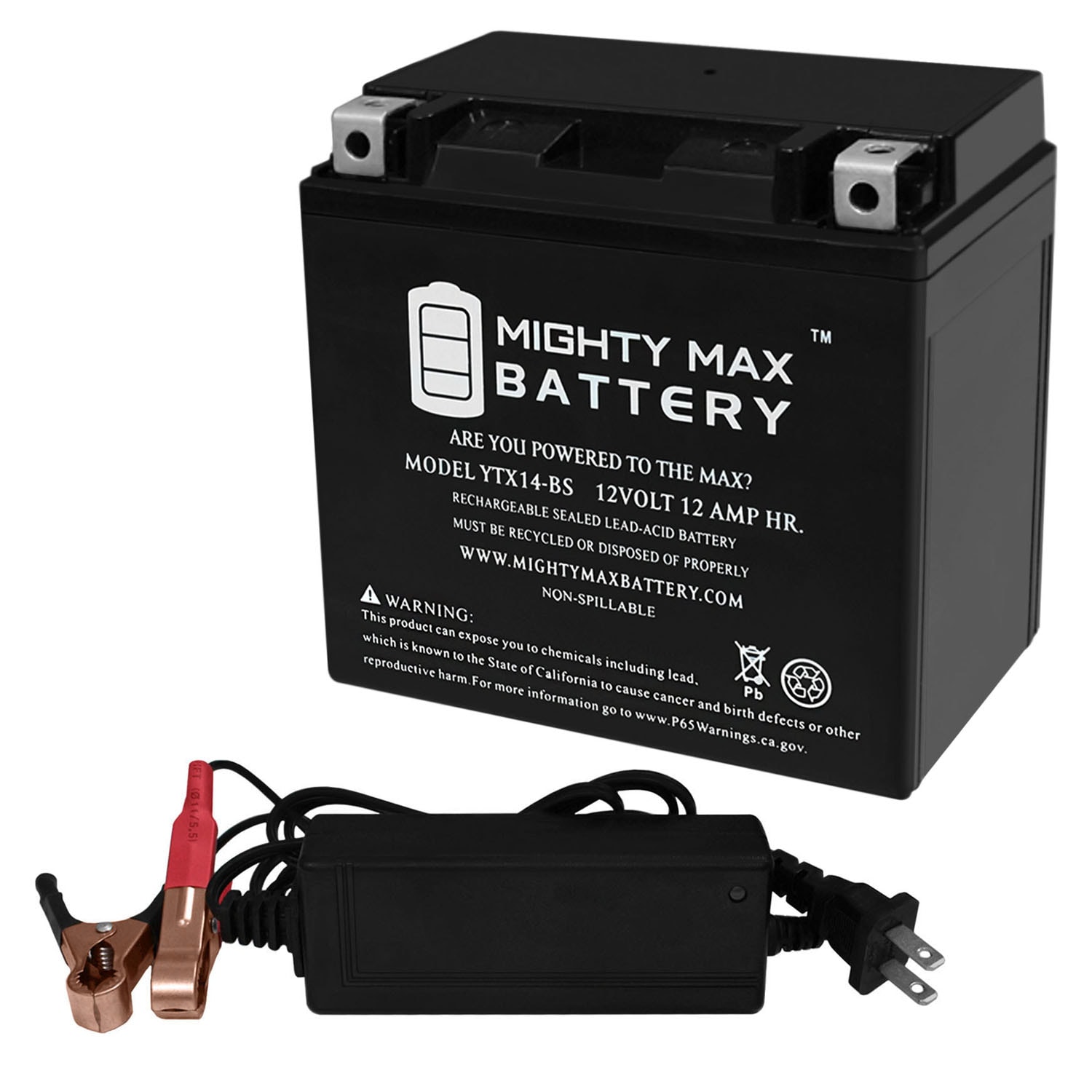 Mighty Max Battery MAX3512186 12AH for Honda SXS 700 Pioneer + 12V 2Amp Charger Rechargeable Sealed lead acid 12120 Backup power Batteries