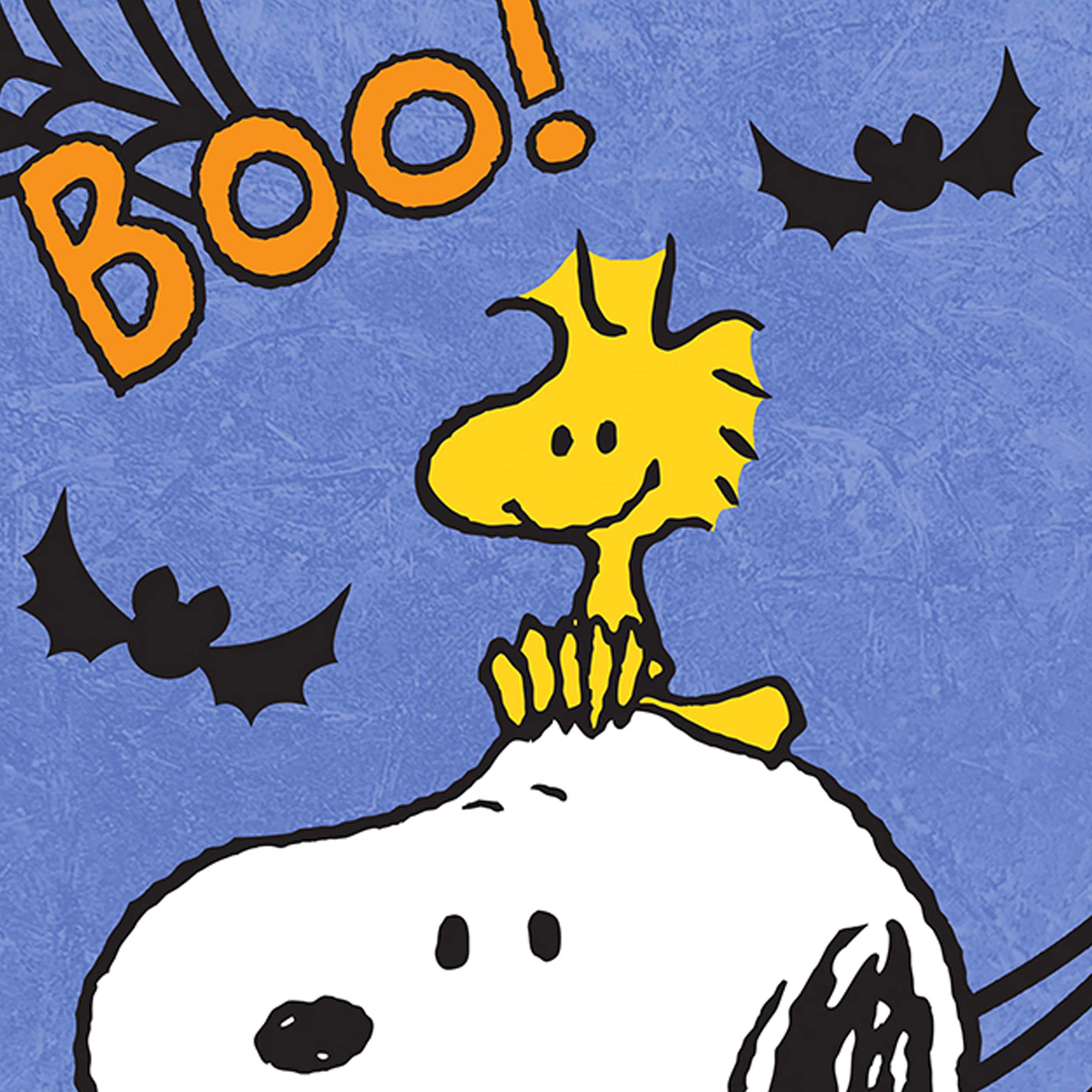 Peanuts 13-1246-51-01 Decorative-Banner-Flags - View #4