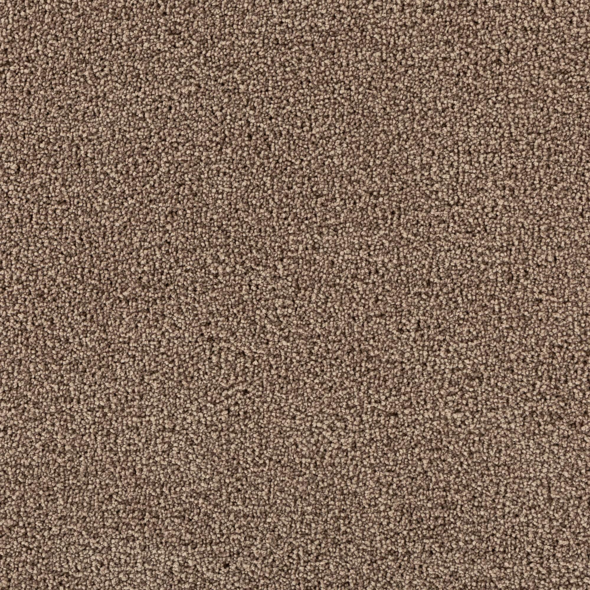 STAINMASTER STP43-12-L011 Soothing space I Palisade Brown 45-oz sq yard Polyester Textured Indoor Carpet