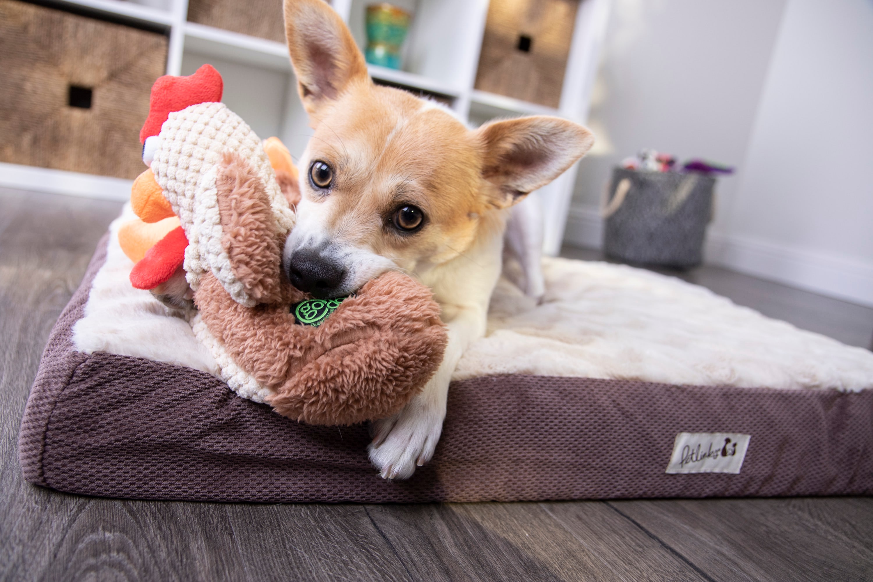 goDog 70881-48987-024 Dog-Toys - View #5