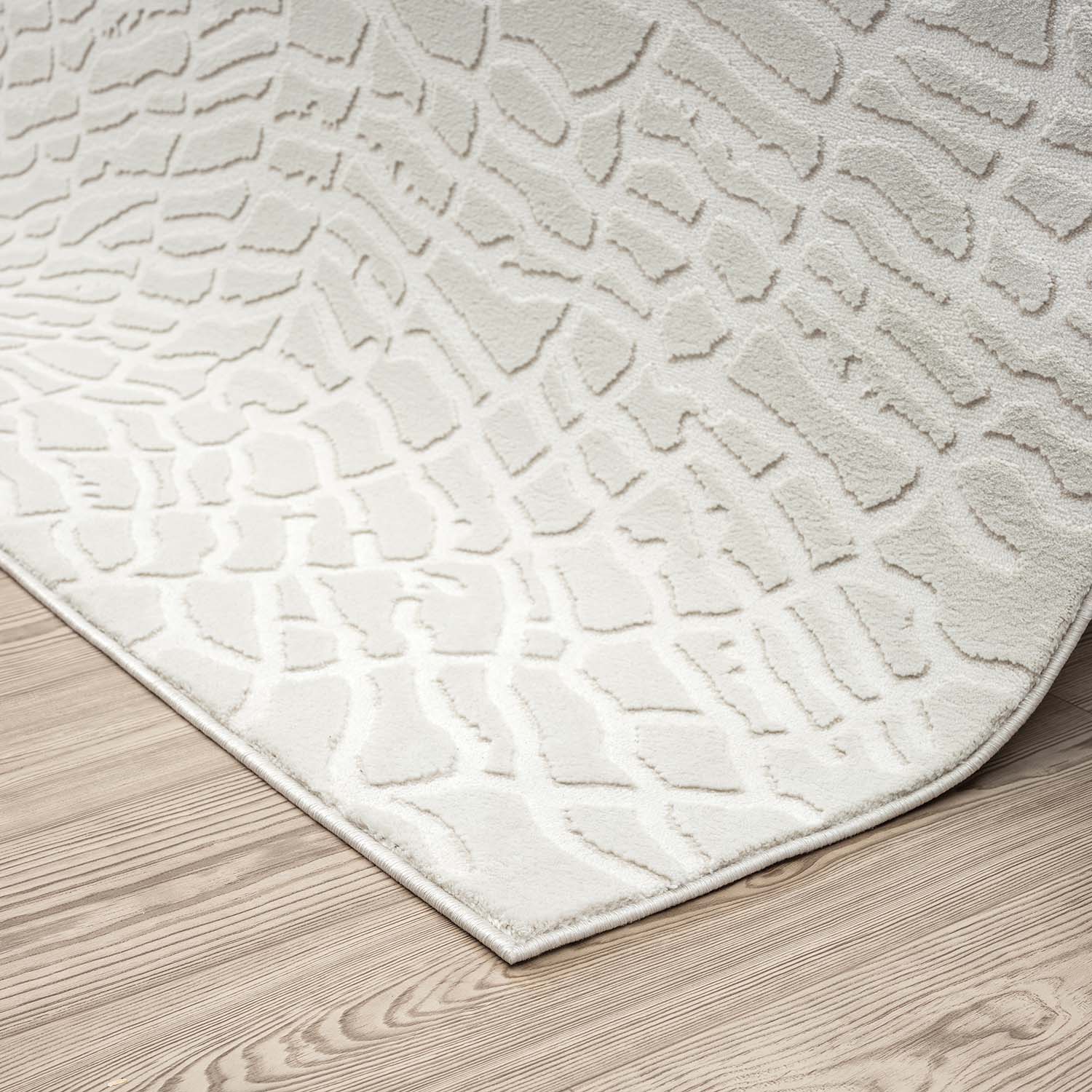 Abani Rugs NTL100A-4 rugs - View #3