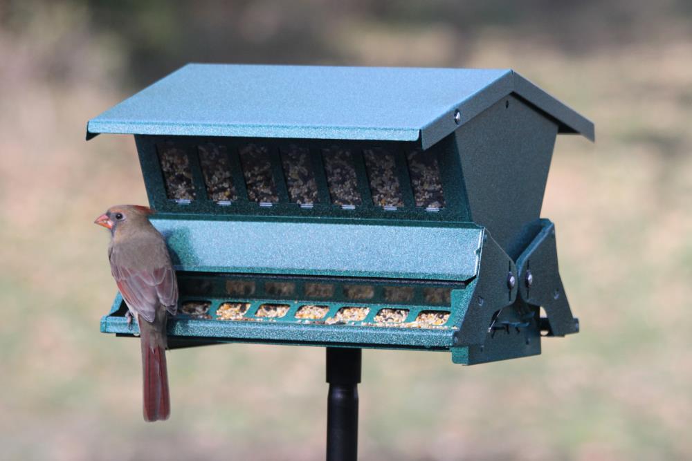 Woodlink Absolute II Electric Blue Squirrel Resistant Bird Feeder Model 7537 