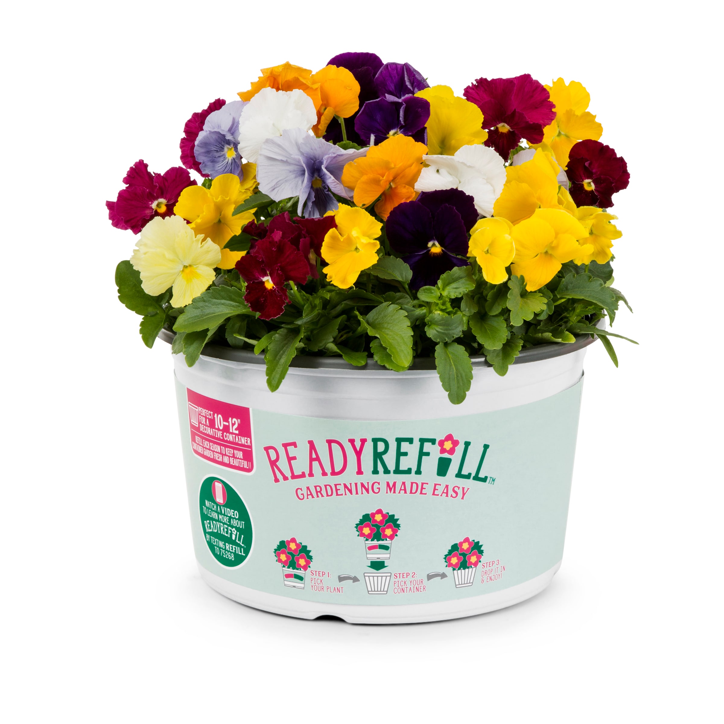 Ready Refill NURSERY Multicolor Mixed Annuals Combinations in 1.5-Gallon Pot