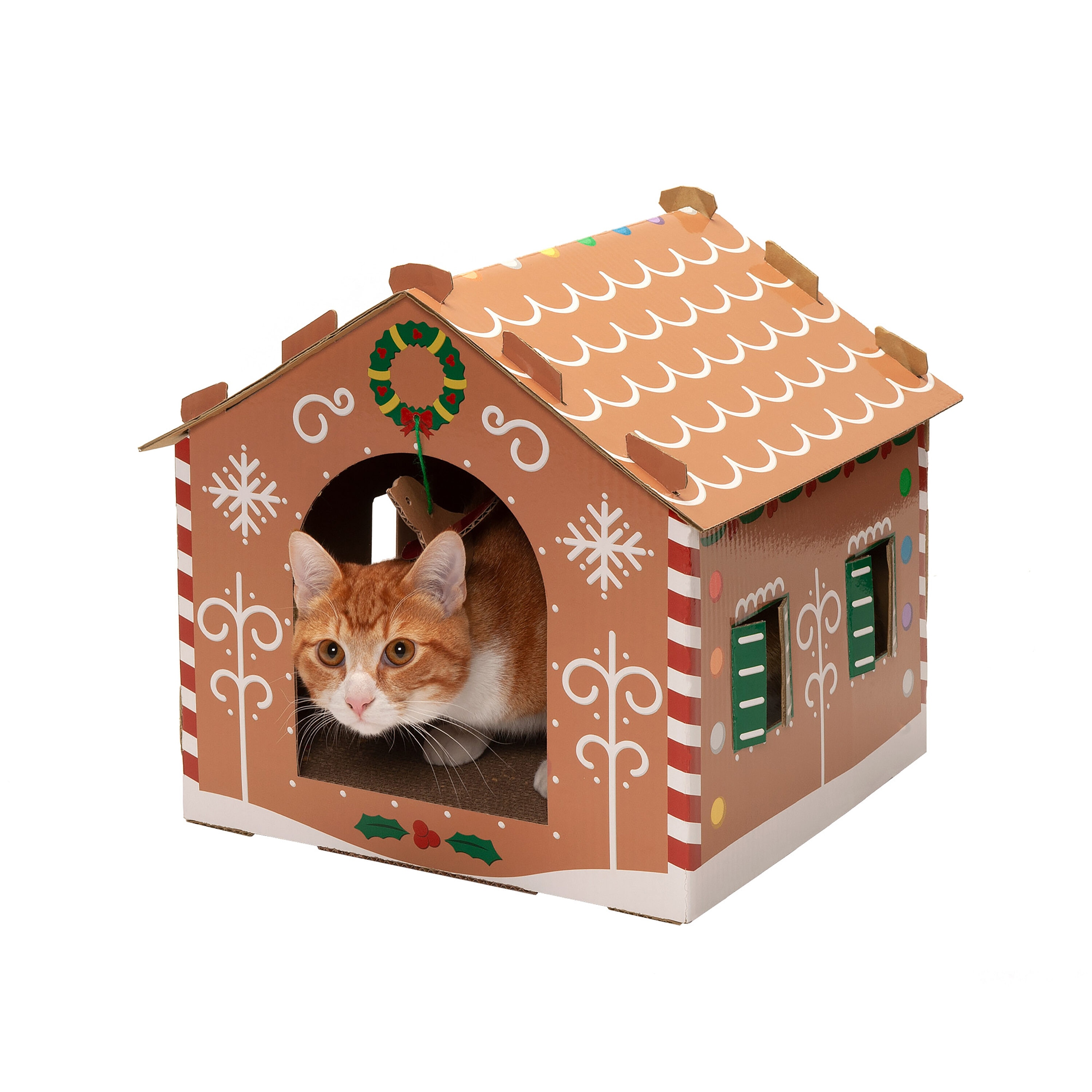 A charming and curious house cat - 6072- CandyIcons