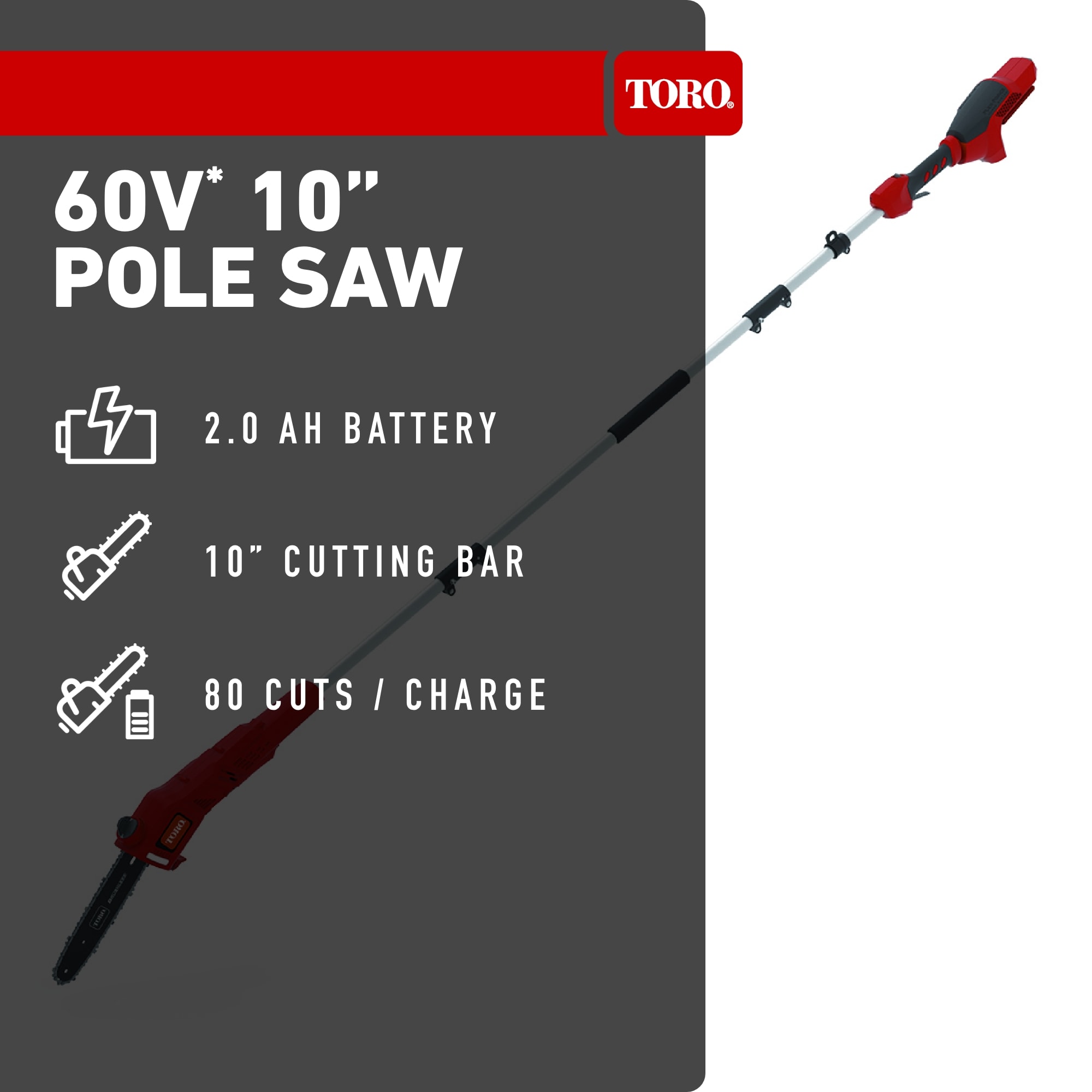 Toro 51870 Cordless-Pole-Saw - View #2