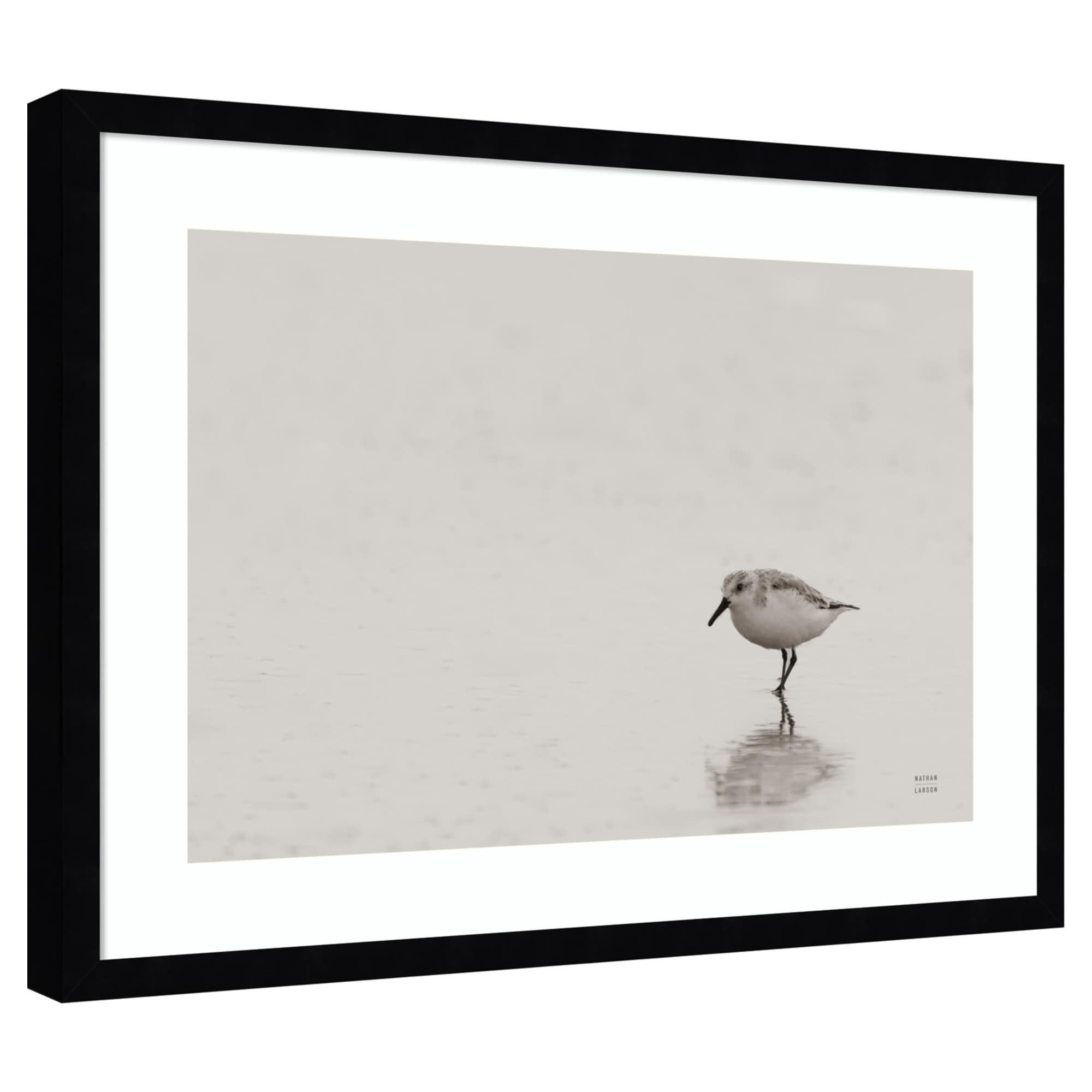 Amanti Art Tybee Island Sanderling Wood Framed Wall Art Print