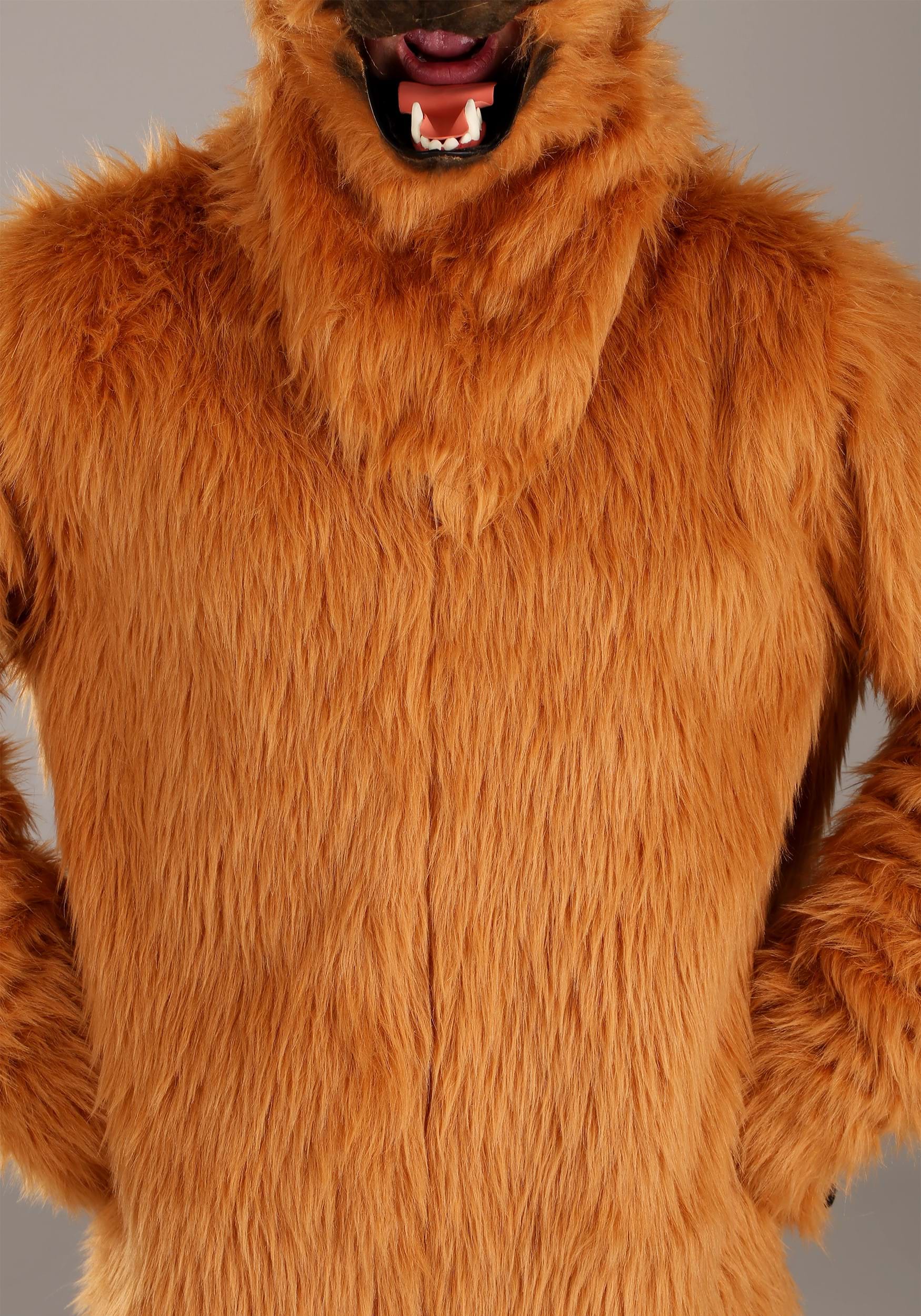 HalloweenCostumes.com EL451706AD-ST costumes - View #6