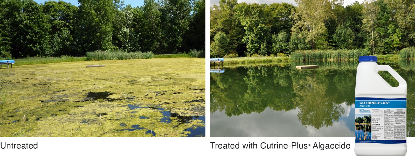 Cutrine Plus 1515.41 Pond-Cleaners - View #2