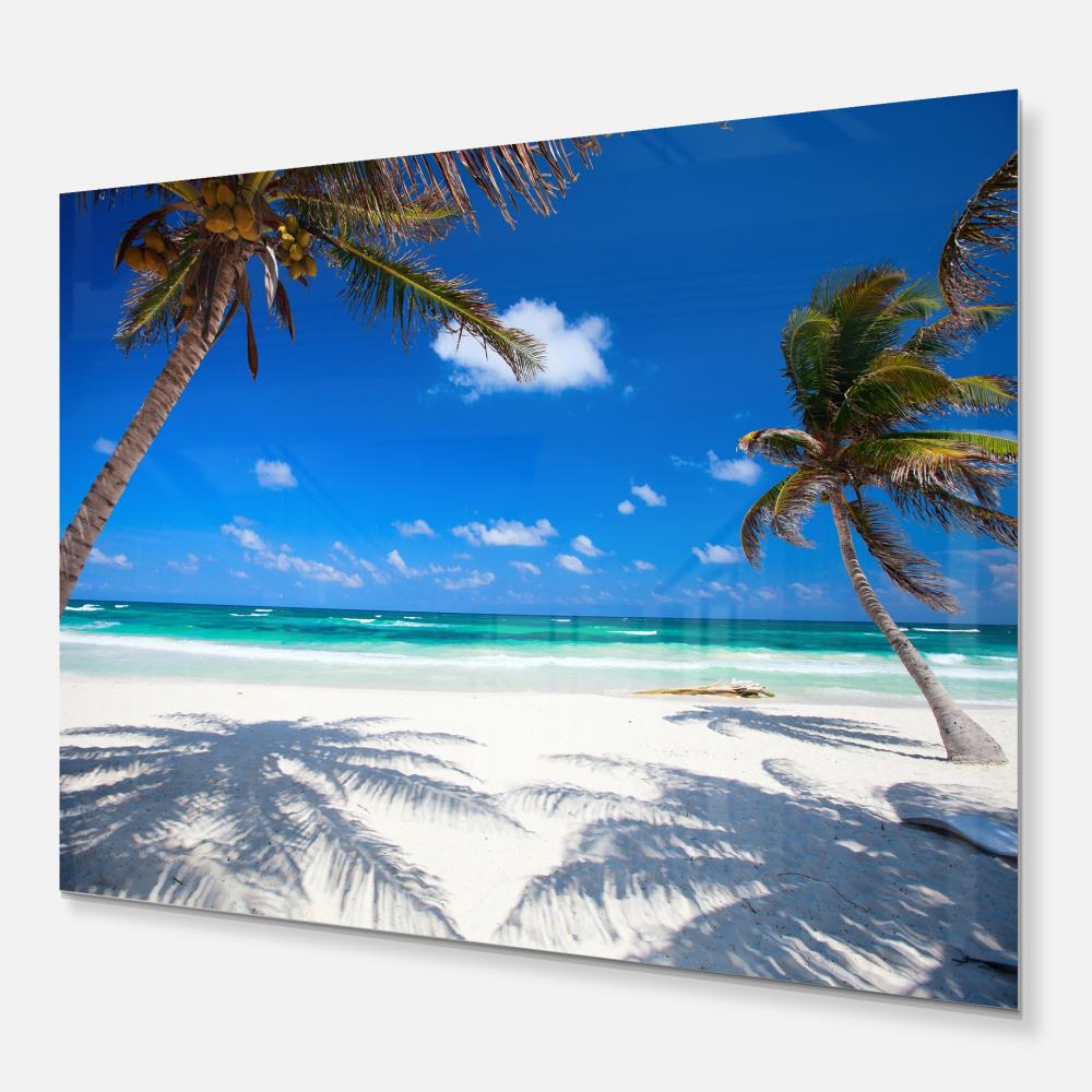 Designart Coconut Palms at Beach- Photo Landscape Metal Wall Art at ...