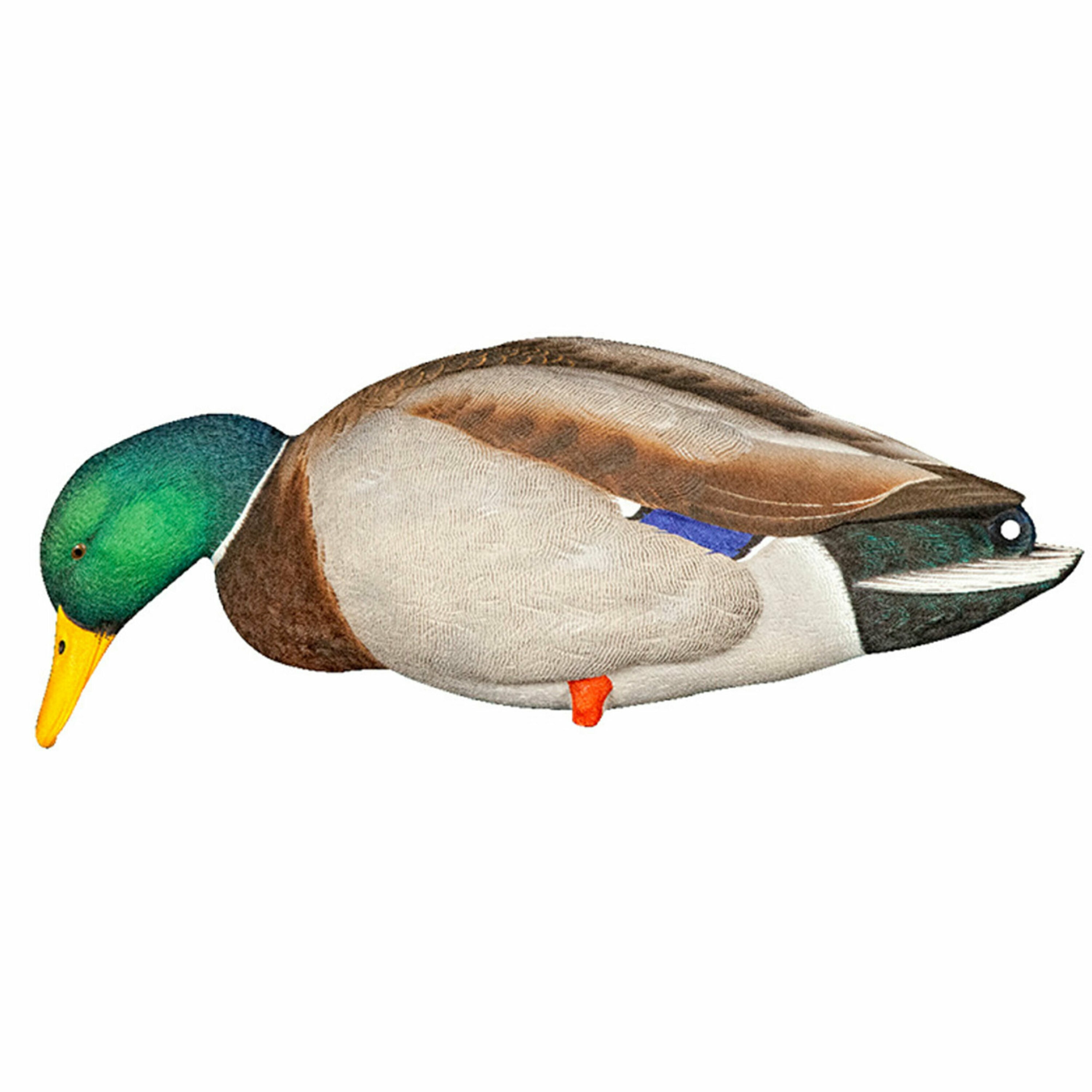  Avian X 408530 Hunting-Equipment - View #10