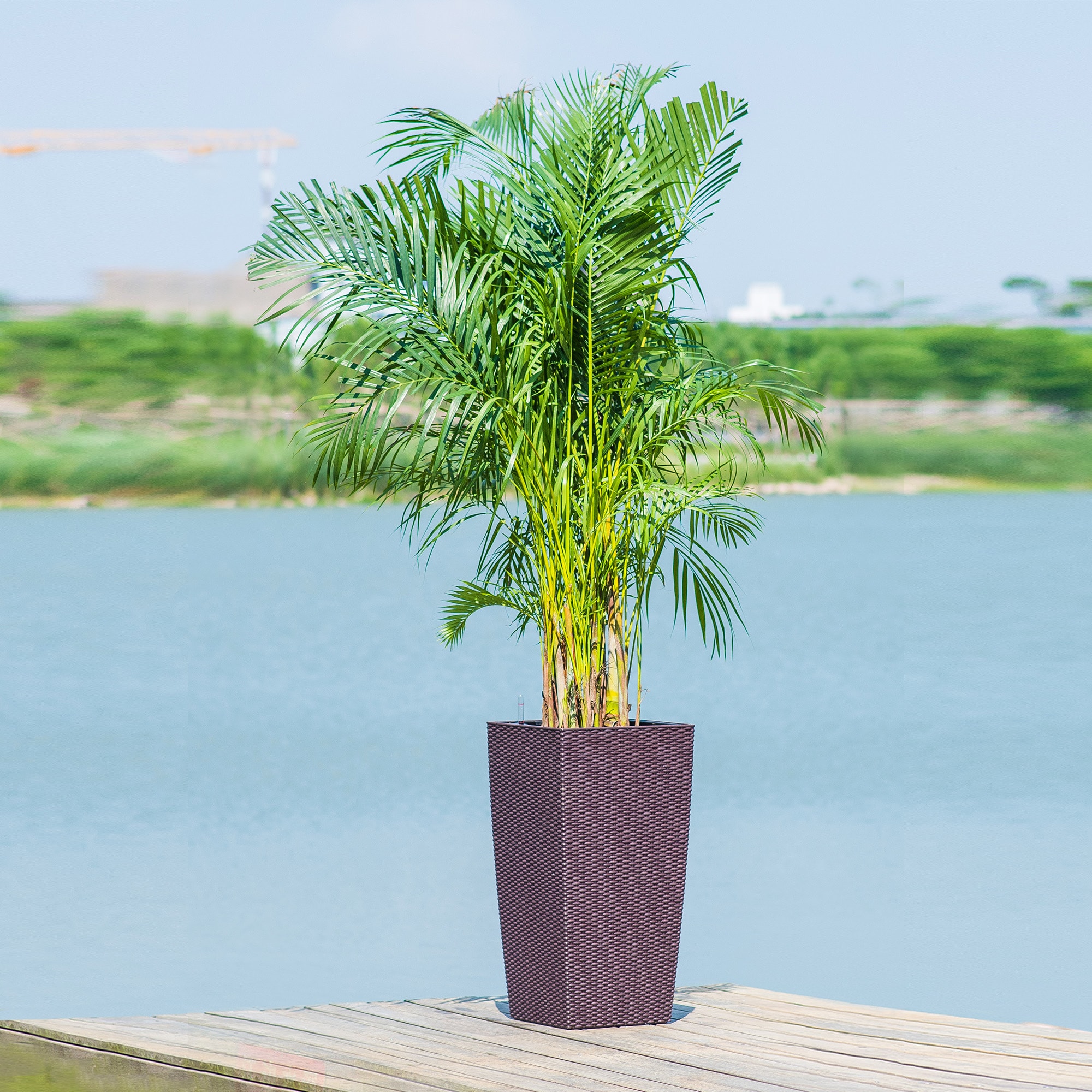 Wooakway FXLS0608-604Z63 Planter-Window-Box - View #3