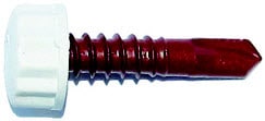 Bertha 51093 #12 x 1-in Nylotech Headed Screw, White
