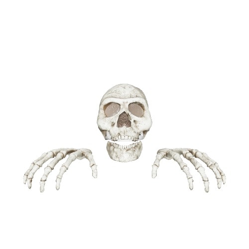 Three-dimensional representation of the product