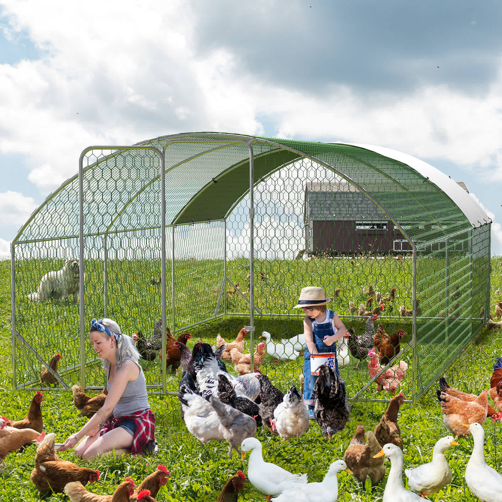 Qeetex GGL-PHO-159PL8QL Chicken-Coops-Rabbit-Hutches - View #2