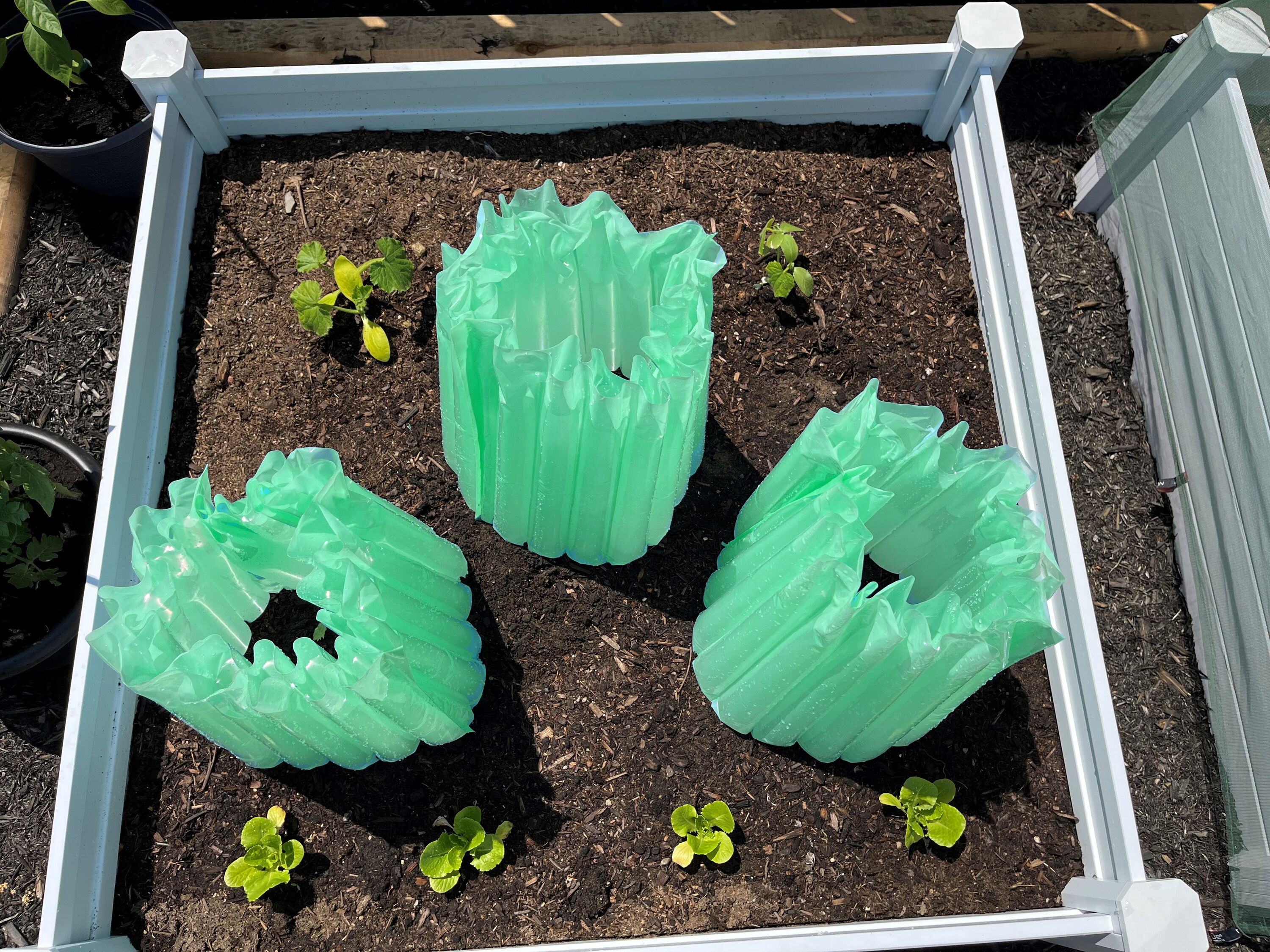 NuVue Products 24047 Winter-Plant-Protect - View #4