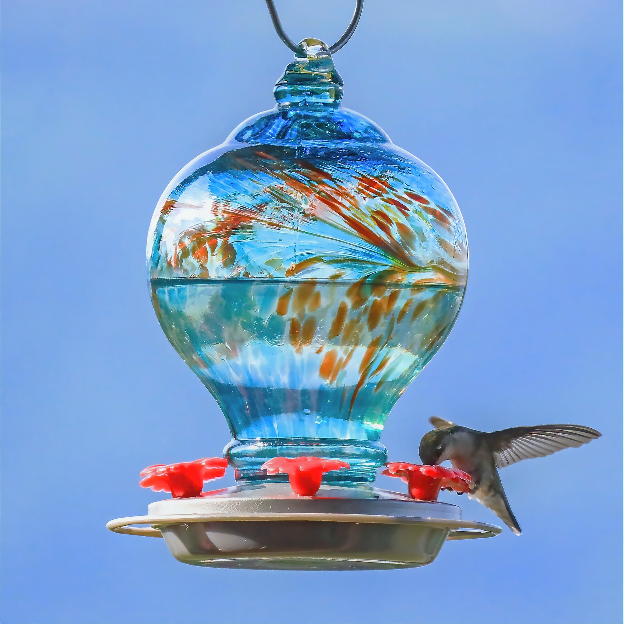 Wild Wings Artisan collection Blue Glass Hanging Nectar Hummingbird Feeder 28 oz Capacity in the Bird Feeders department at Lowes