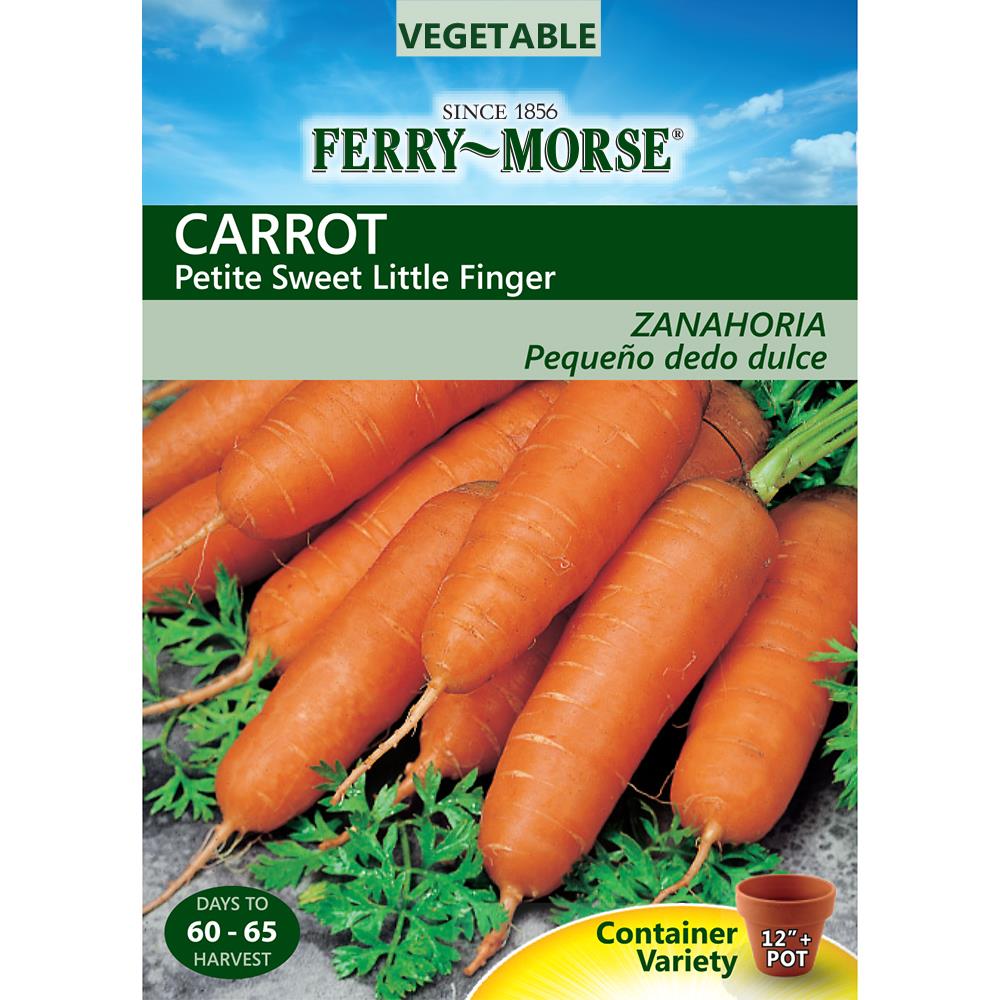 Ferry-Morse 472285.178.430452 1.9-Gram Carrot Petite Sweet Little Finger (L0000)