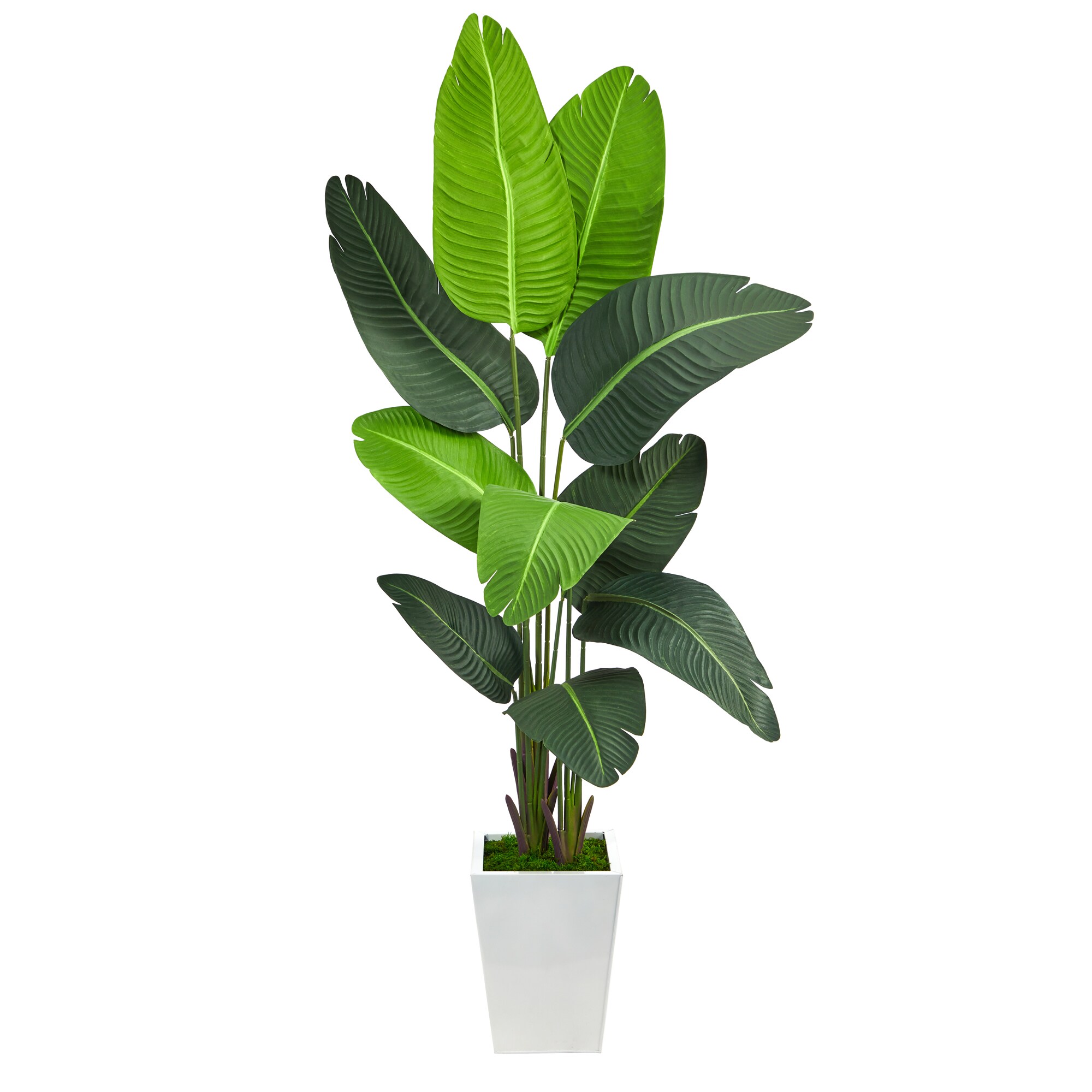 Nearly Natural 66 In Green Indoor Palm Artificial Tree In The   48614038 