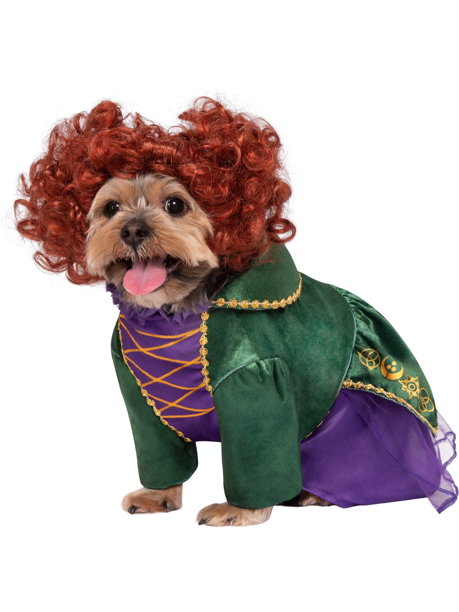 Halloween Costume Idea With Dogs: Snow White, The Evil Witch and