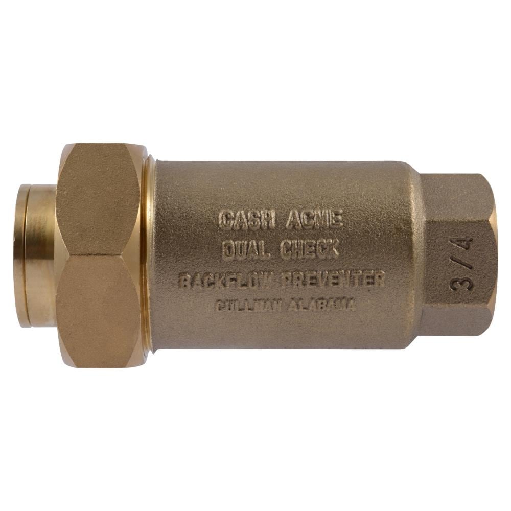 Double Check Valve  Briscoe Protective