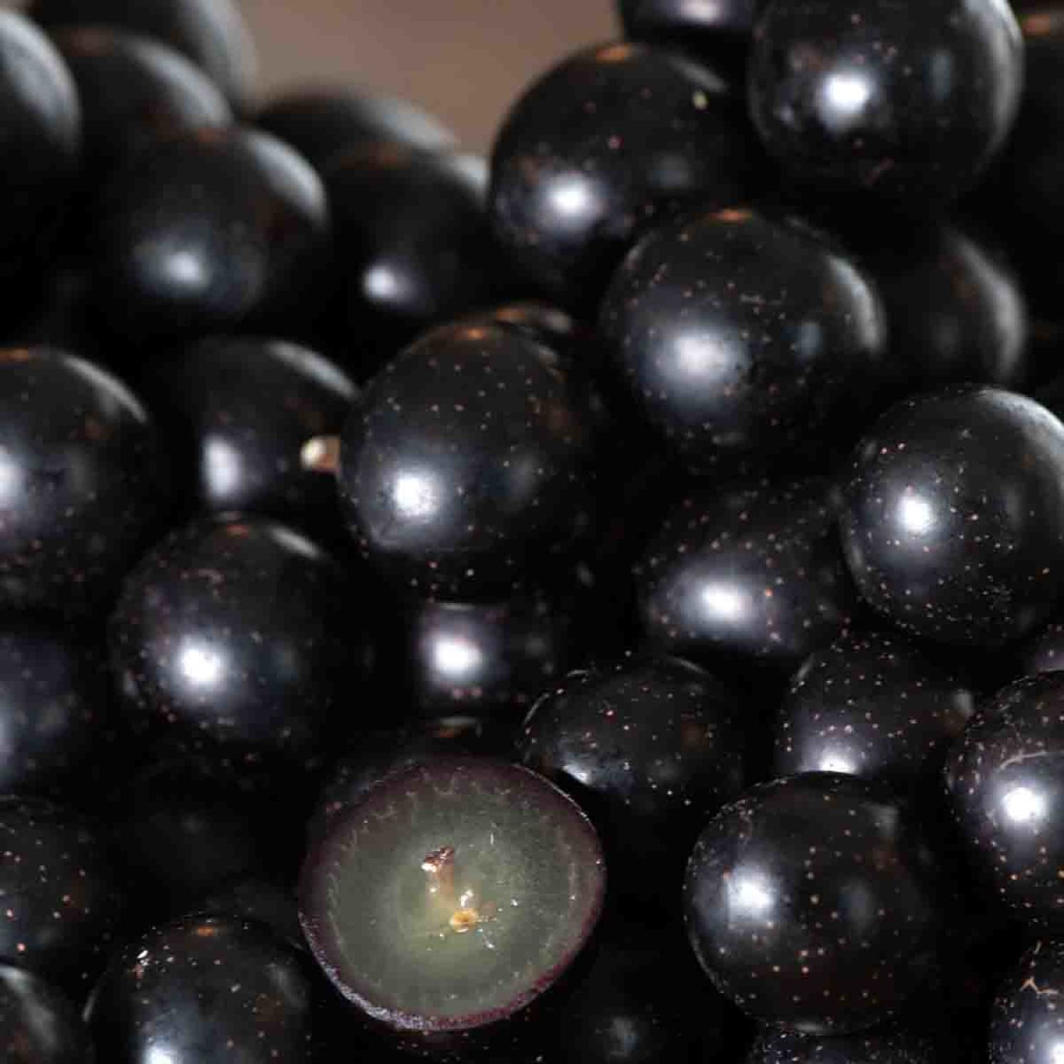 Direct Gardening 97311 Fruit-Plants - View #3