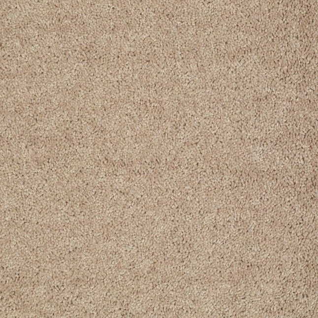 Shaw Cornerstone Batter Up II Tassel Textured Carpet Sample (Interior) Shaw Cornerstone Batter Up II Tassel Textured Carpet Sample (Interior)