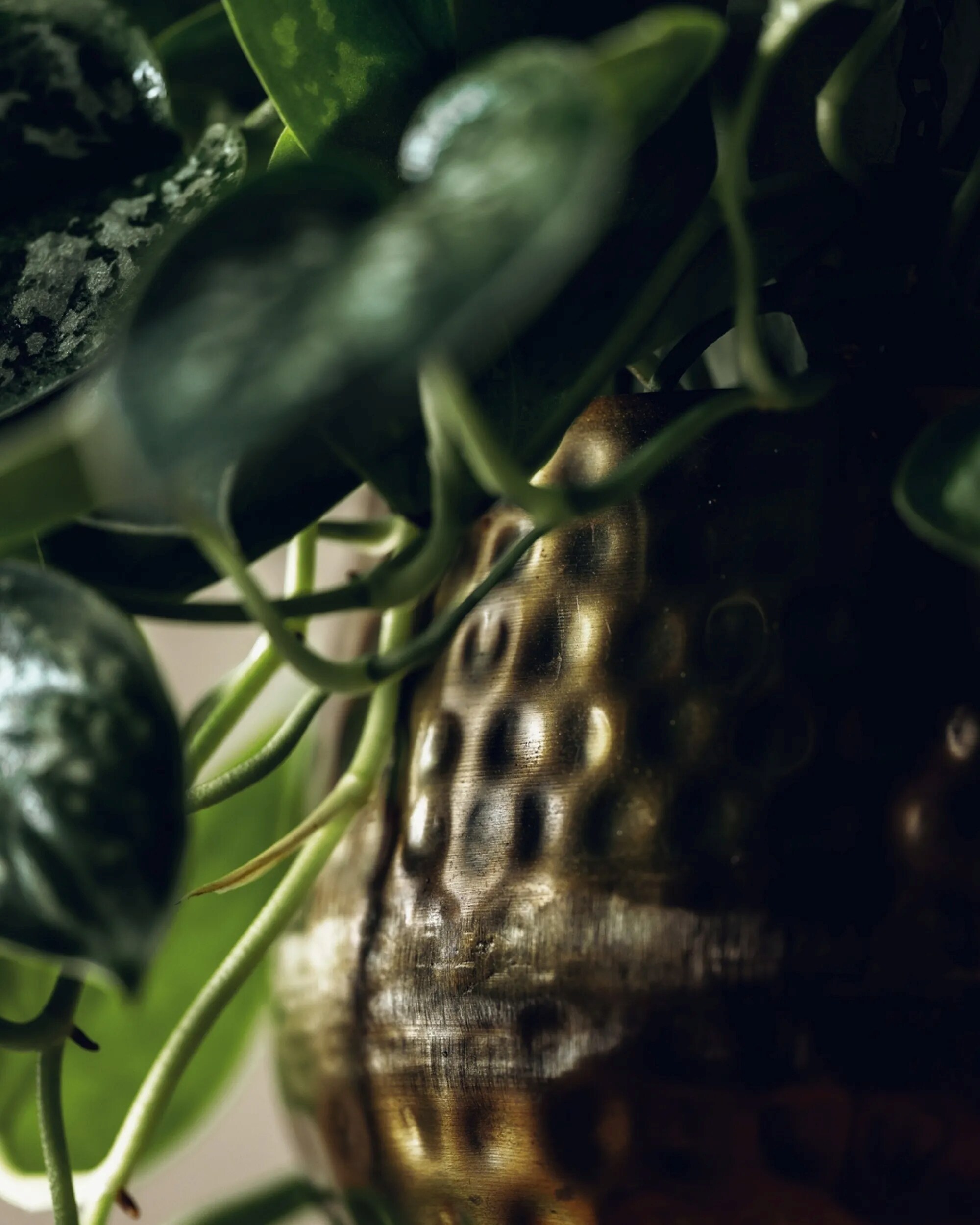 LiveTrends HGD02538 Planter-Window-Box - View #2