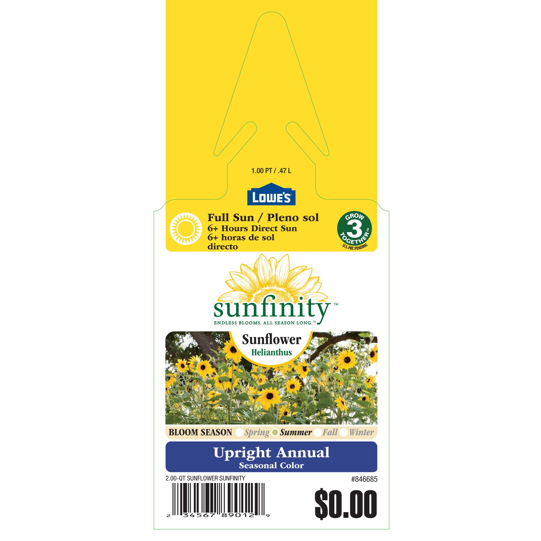 Sunfinity 846685 annuals - View #3