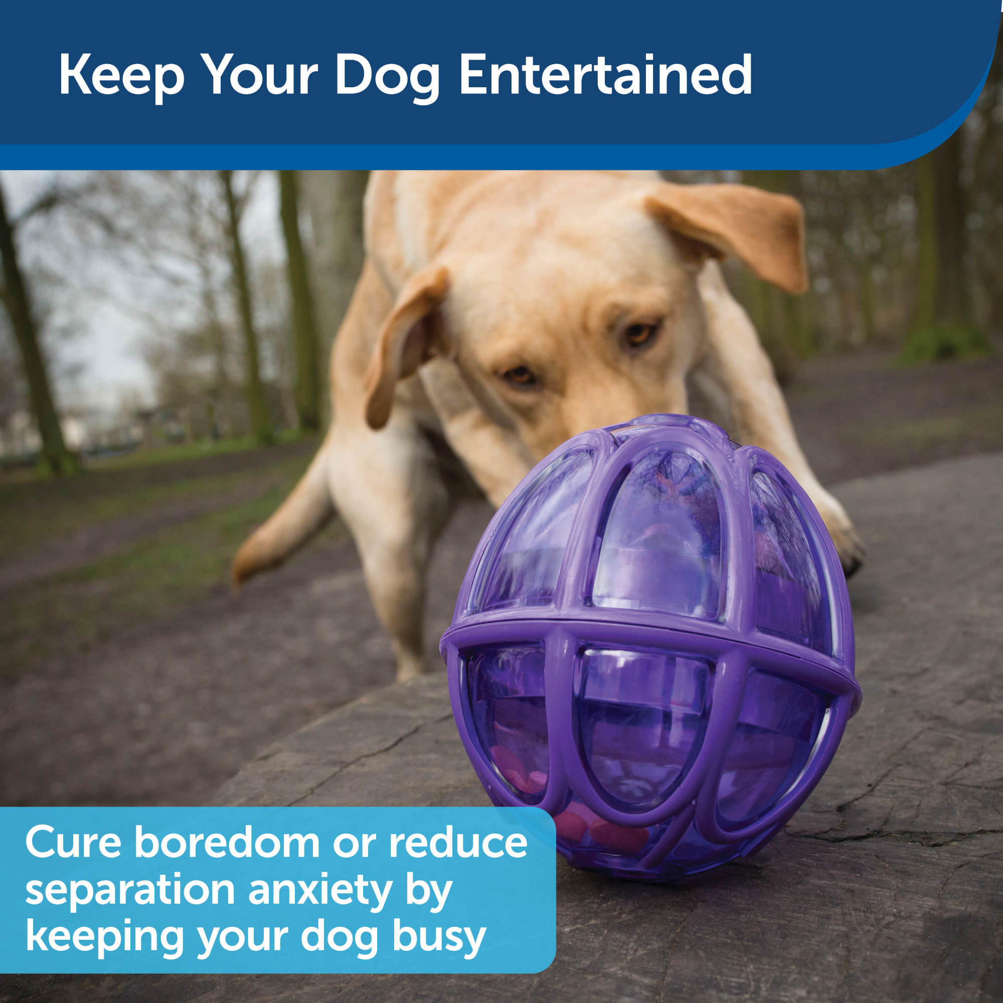 PetSafe PTY00-13738 Dog-Toys - View #4