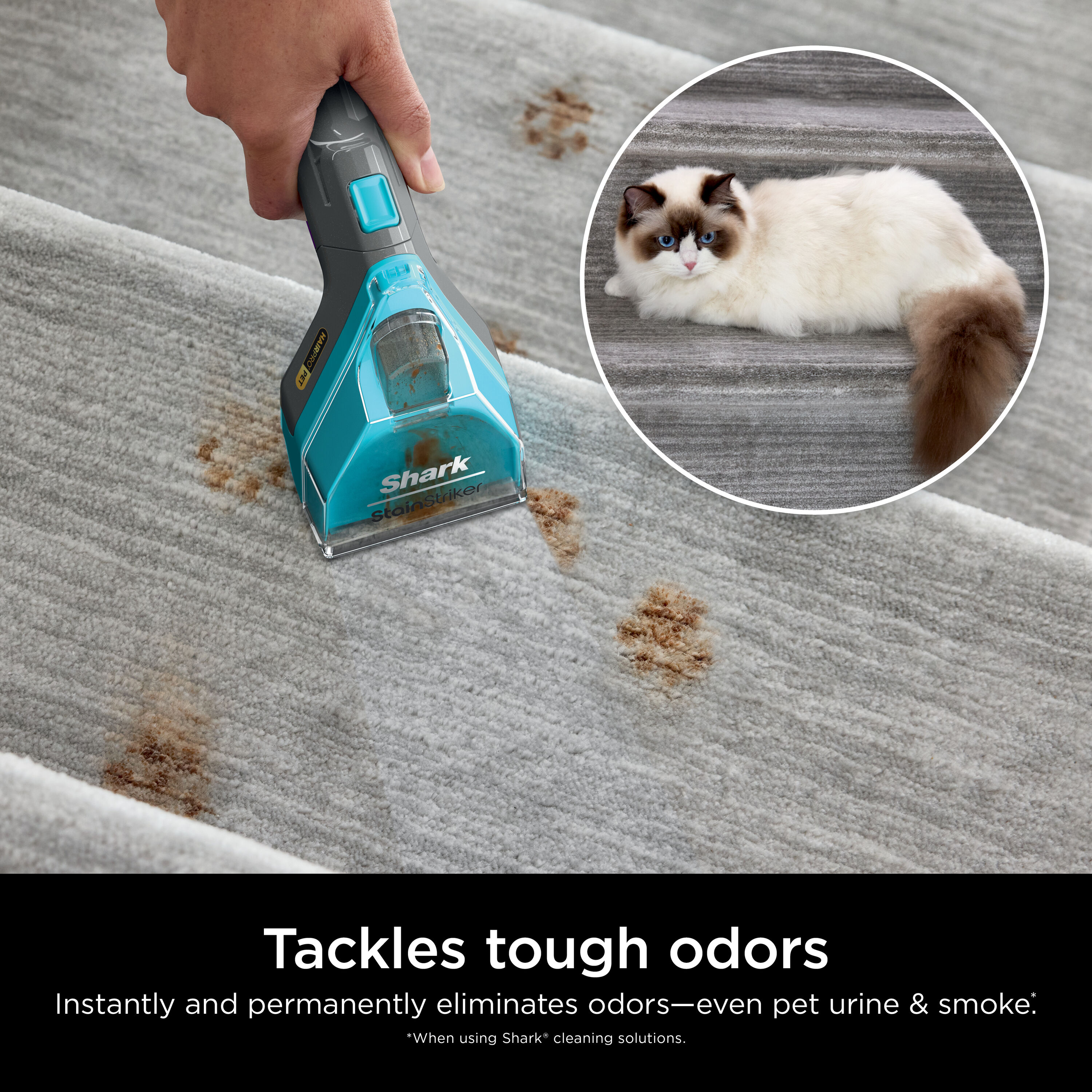 Shark EXCM48 Carpet-Cleaners - View #5