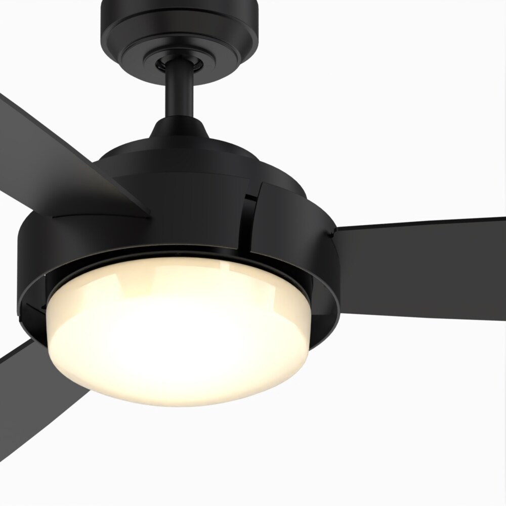 Fanimation Studio Collection LP8081BLBL Ceiling-Fans - View #4