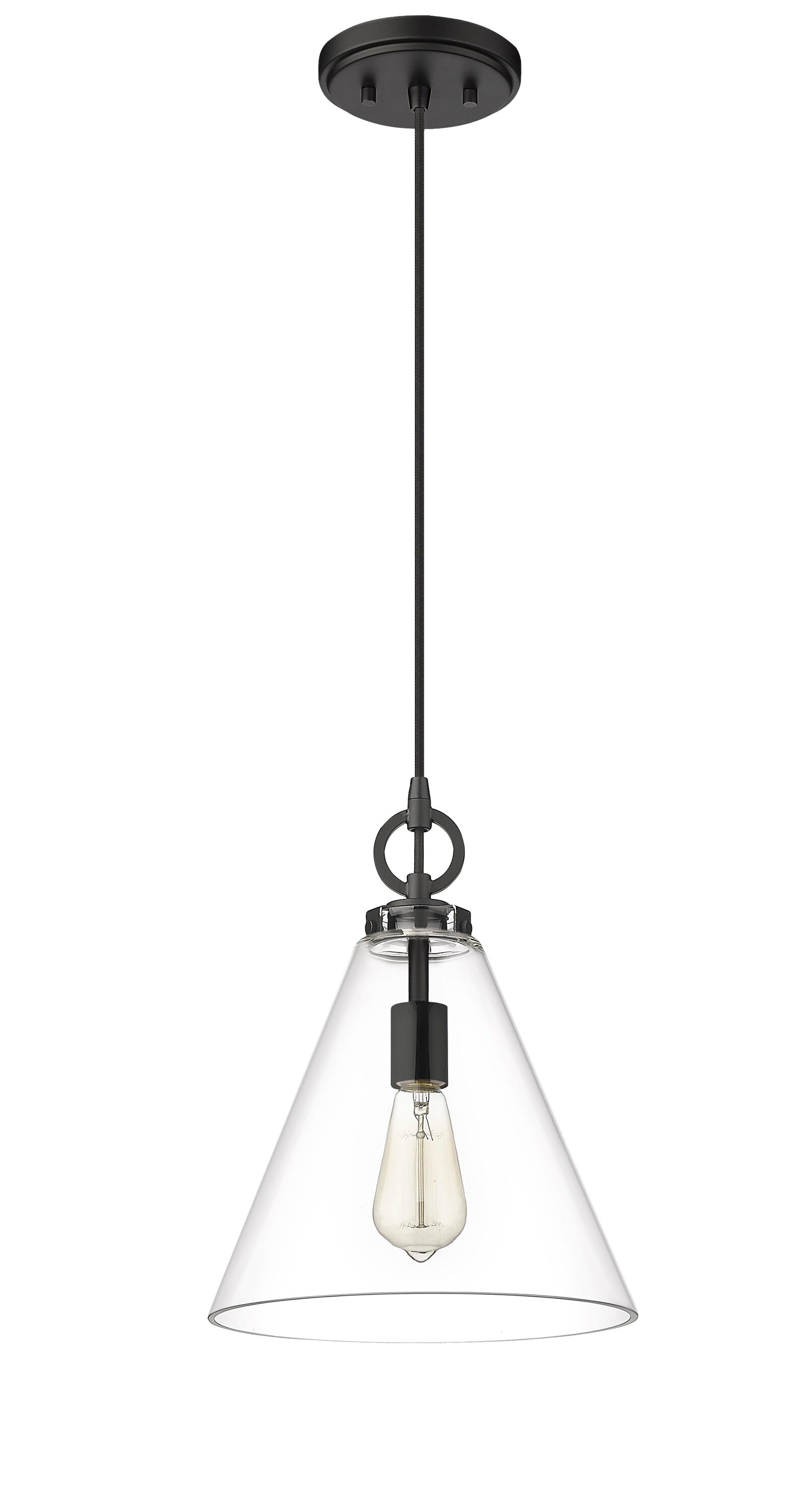 ca.nniです₊⁎⁺˳✧༚ Z-Lite Harper 1 -Light Matte Black Modern/contemporary Clear