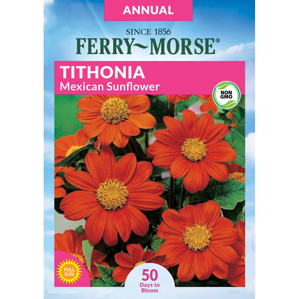 Ferry-Morse 466307.199.905844 Tithonia Mexican Sunflower Seeds 710-mg