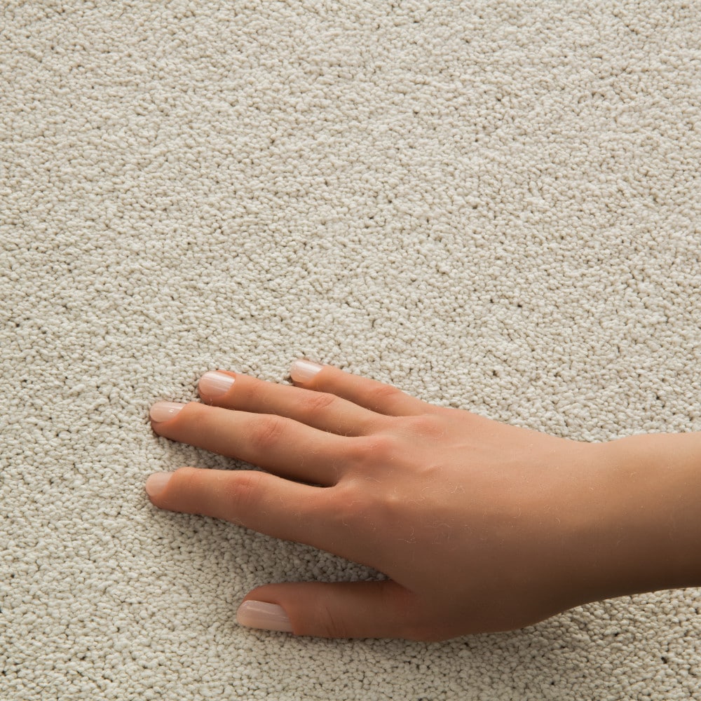 STAINMASTER PetProtect 7L97100100 Carpet-Panel - View #4