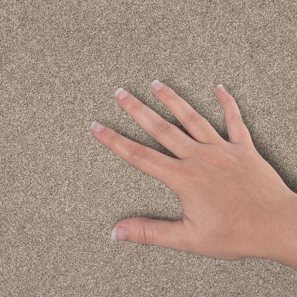 STAINMASTER SS029-L002-0808 Carpet-Samples - View #4