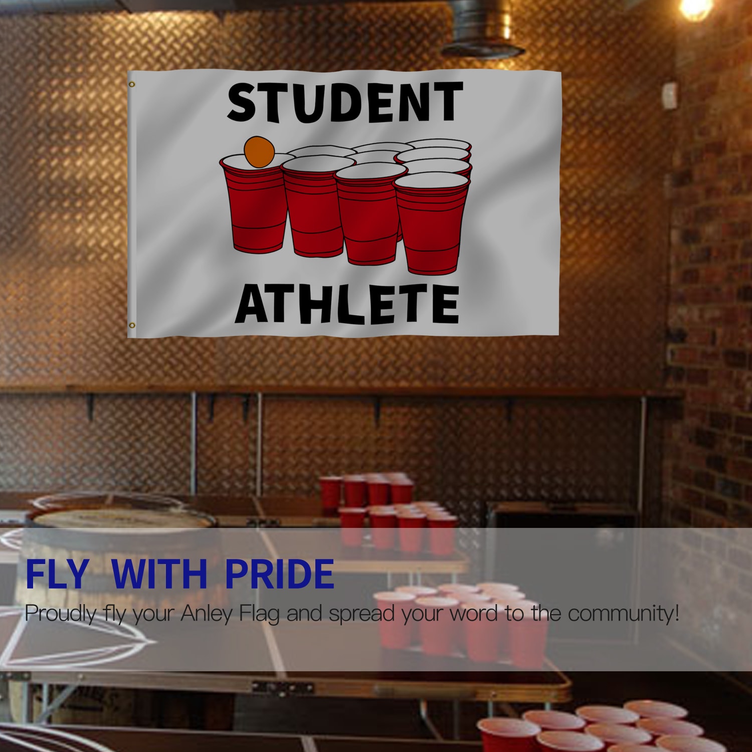 Anley Student Athlete Flag 5-ft W x 3-ft H Flag in the Decorative ...