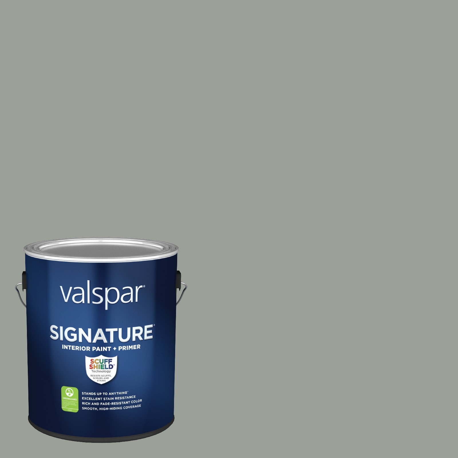 Valspar Signature Satin Secret Moss 5005-2a Latex Interior Paint +