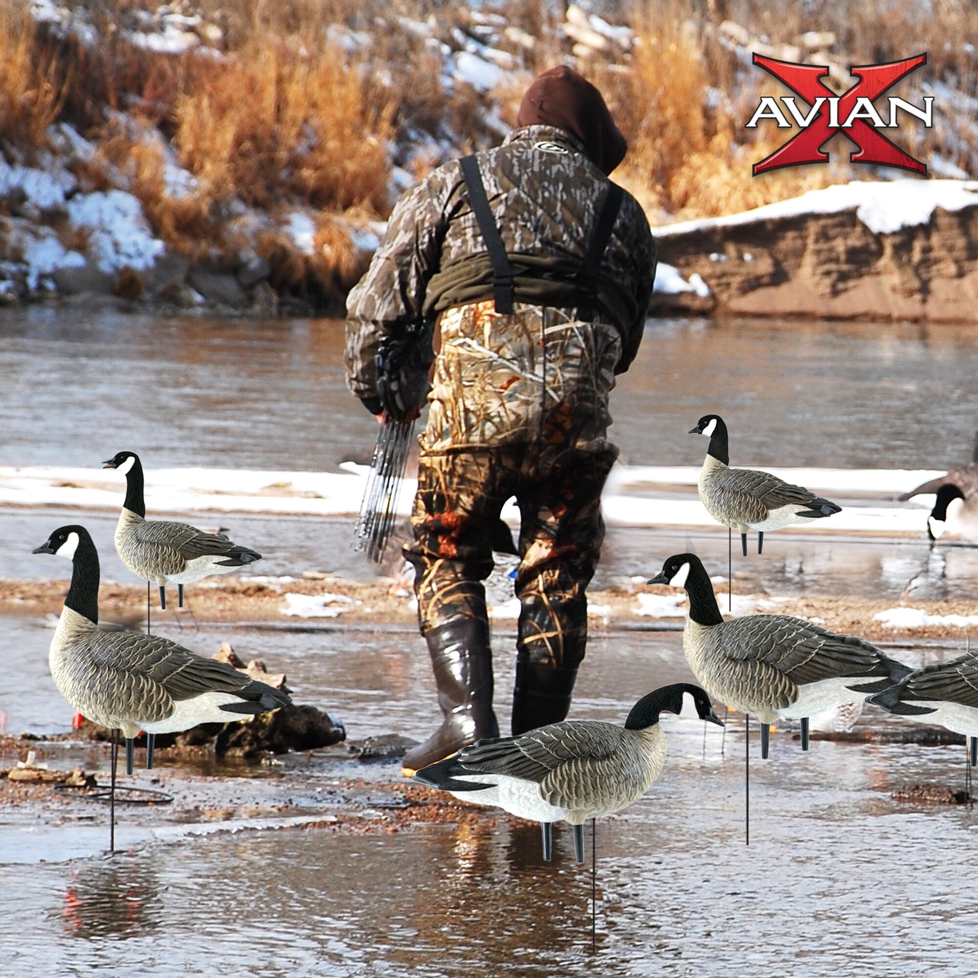Avian X 3 X AVX-AVX9008 Hunting-Equipment - View #7