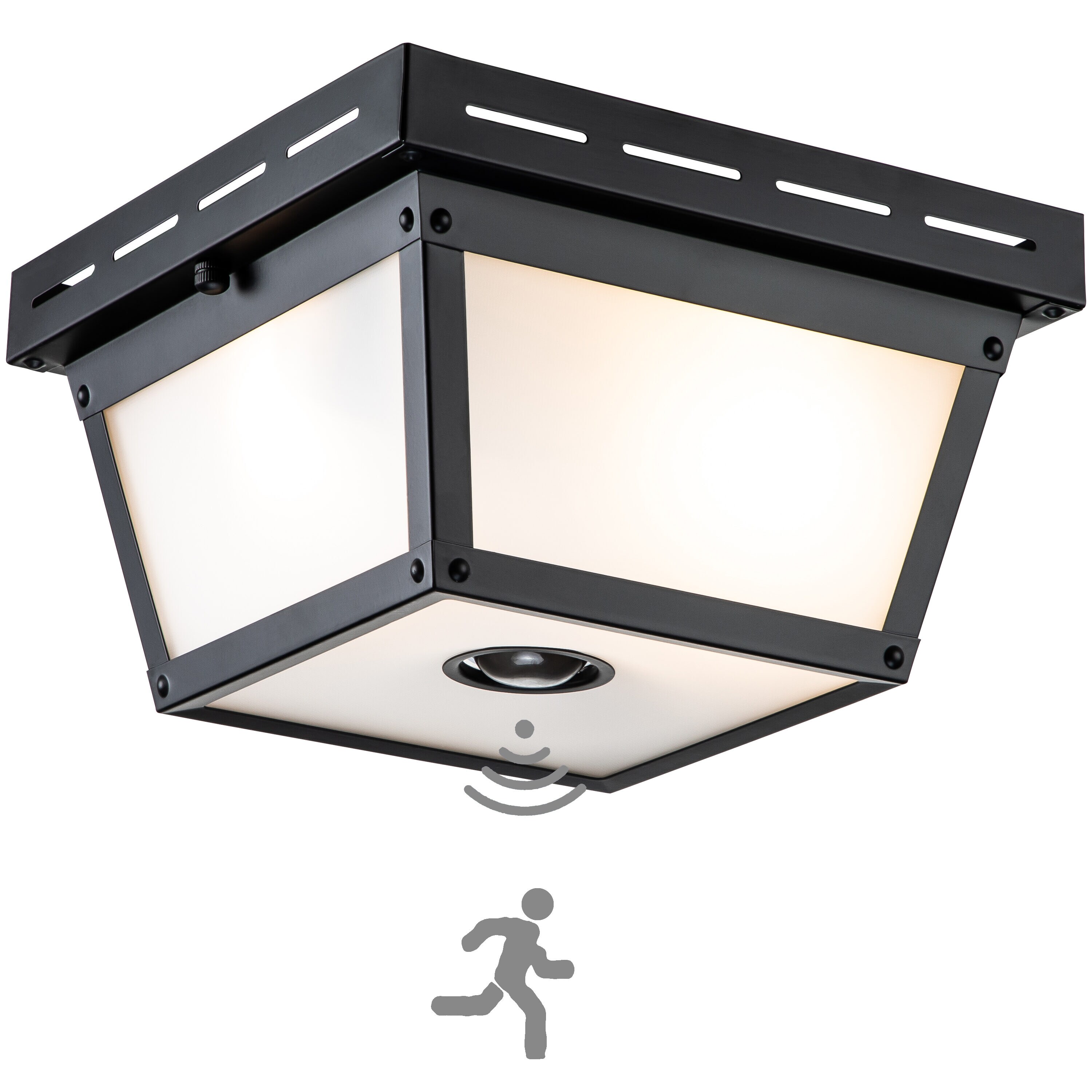 C Cattleya 2 Light 9.25 in Black Outdoor Led Flush Mount Light