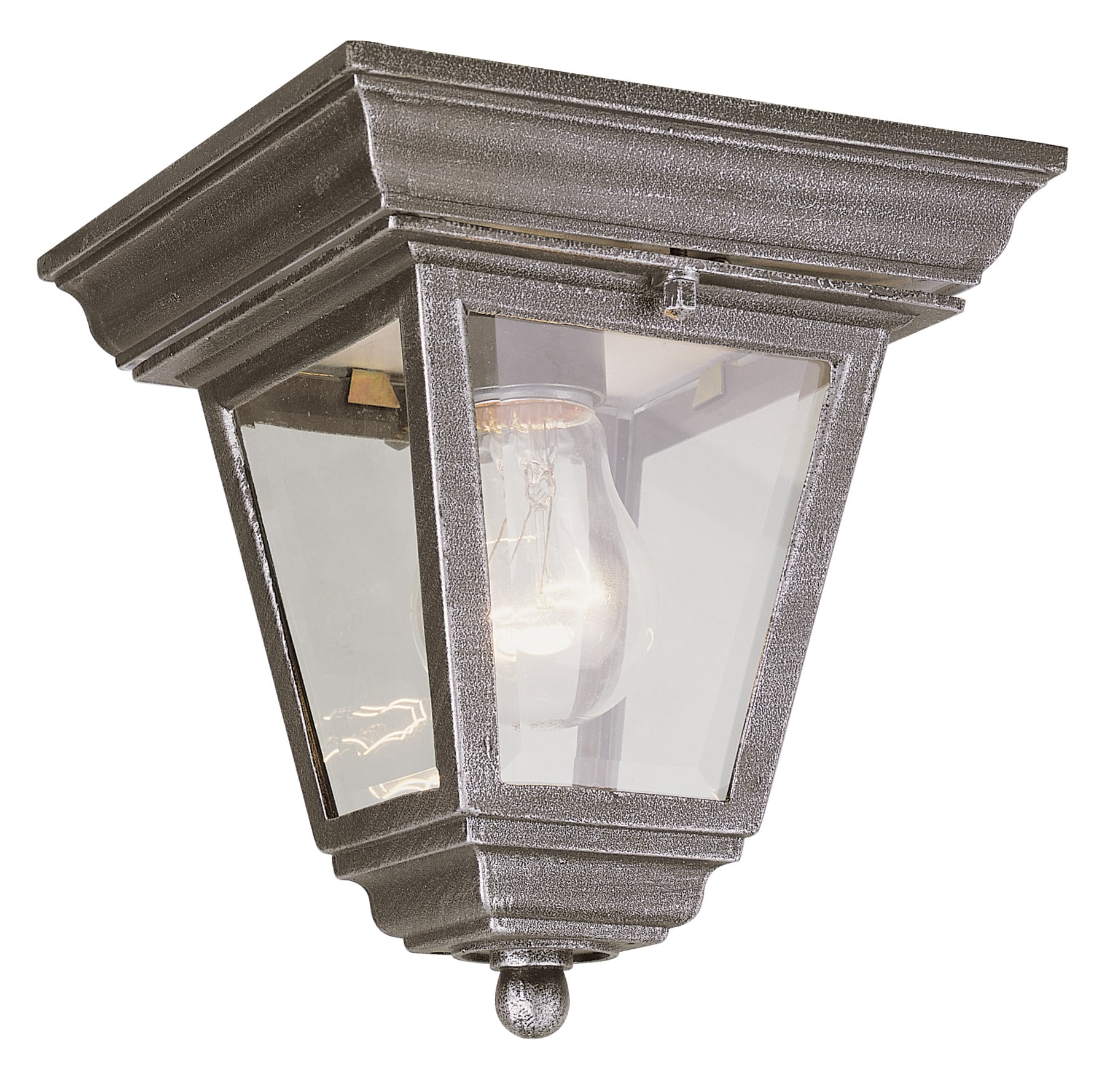Trans Globe 4903 RT Indoor/Outdoor Flush Mount Light