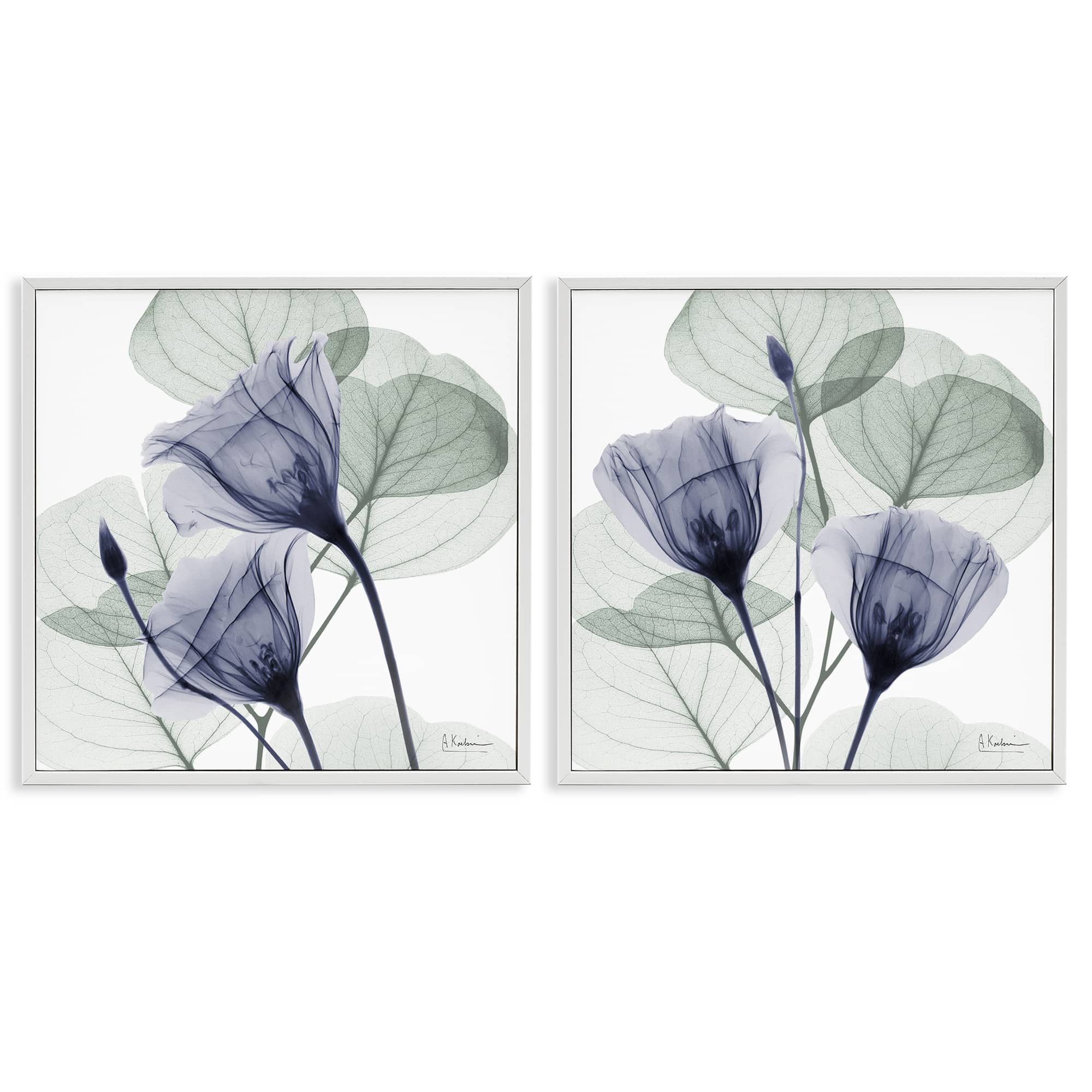 Stupell Industries B2-710-WFR-2PC-24X24 Fading Florals and Herbs 2 Piece White Framed Giclee Art Set By Albert Koetsier 24 x 24