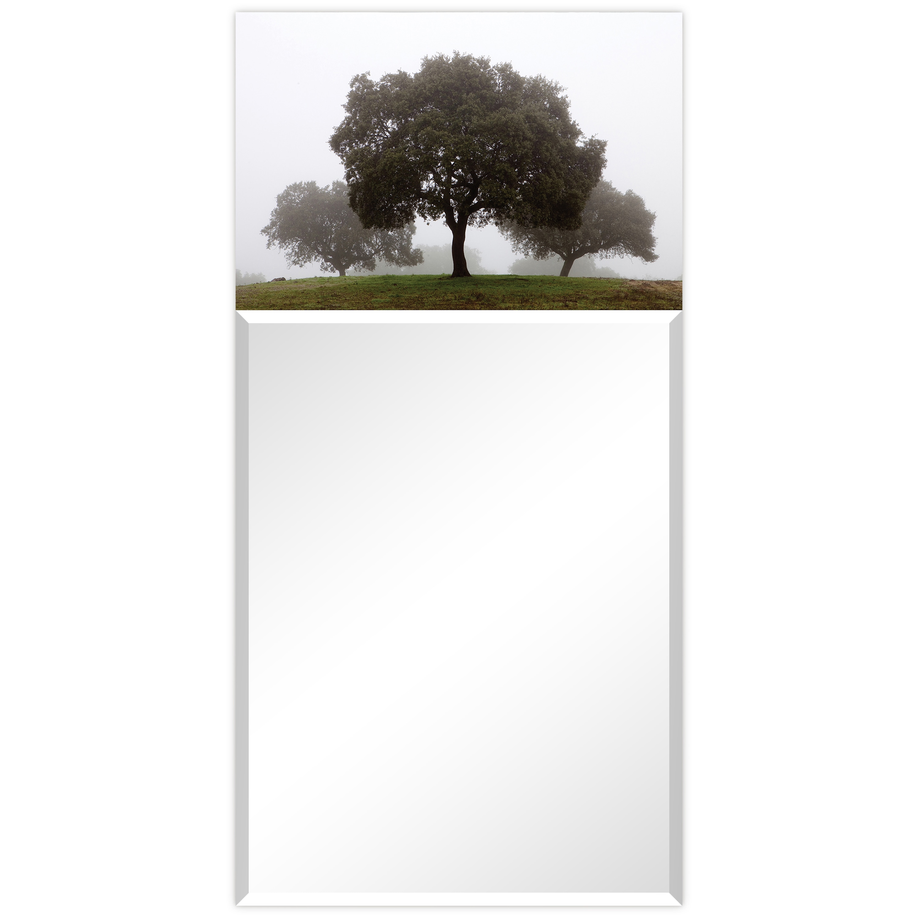 Empire Art Direct TAM-EAD1990-2448T Tempered Glass Frame Wall Mirror 24-in W x 48-in H Gray Beveled Wall Mirror