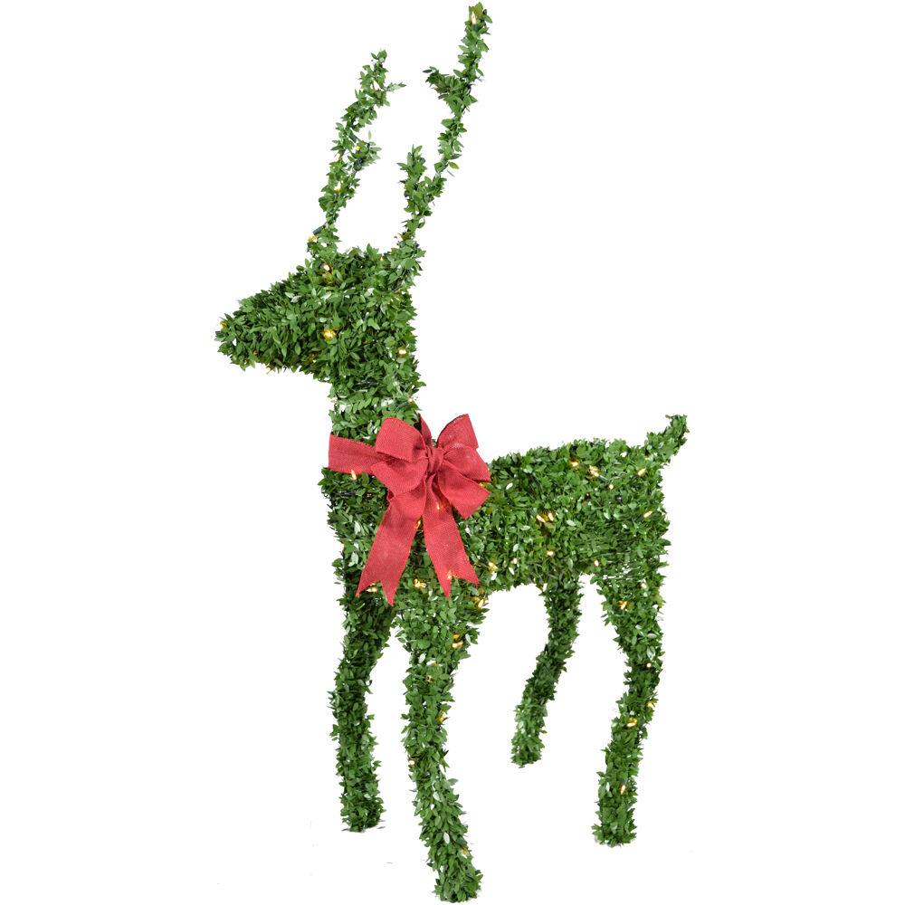 Fraser Hill Farm FFBX060-5GR 5-ft Pre-lit Artificial Christmas Tree with Led/Incandescent Lights