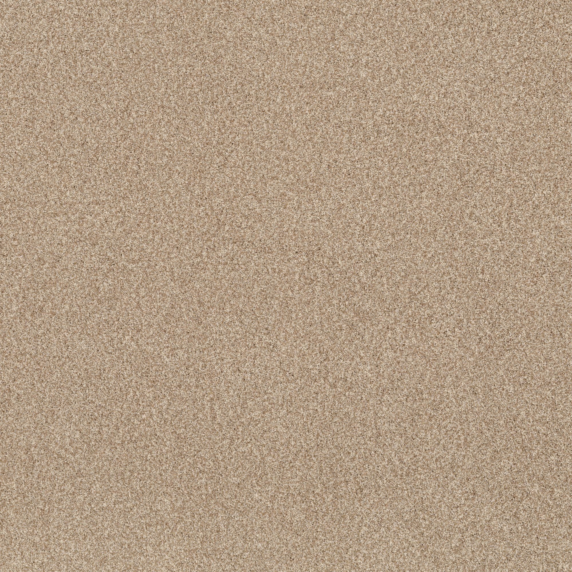 STAINMASTER PetProtect 7L860 - 224 - SAMP (Sample) Reverie I Reed Brown 39-oz sq yard Nylon Textured Indoor Carpet