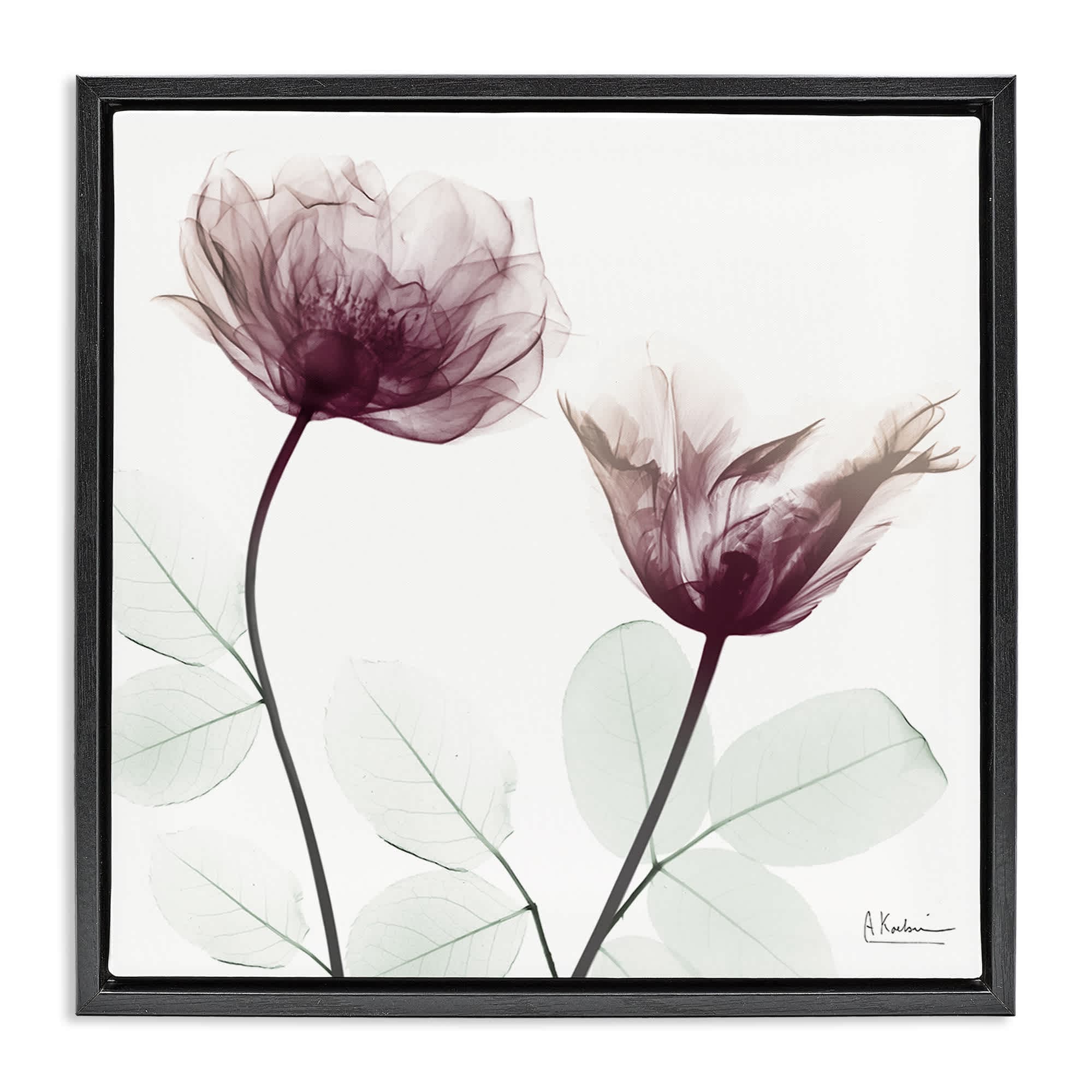 Stupell Industries BS-008-FFB-17X17 Minimalist Translucent Flowers Black Framed Floater Canvas Wall Art By Albert Koetsier 18 x 18